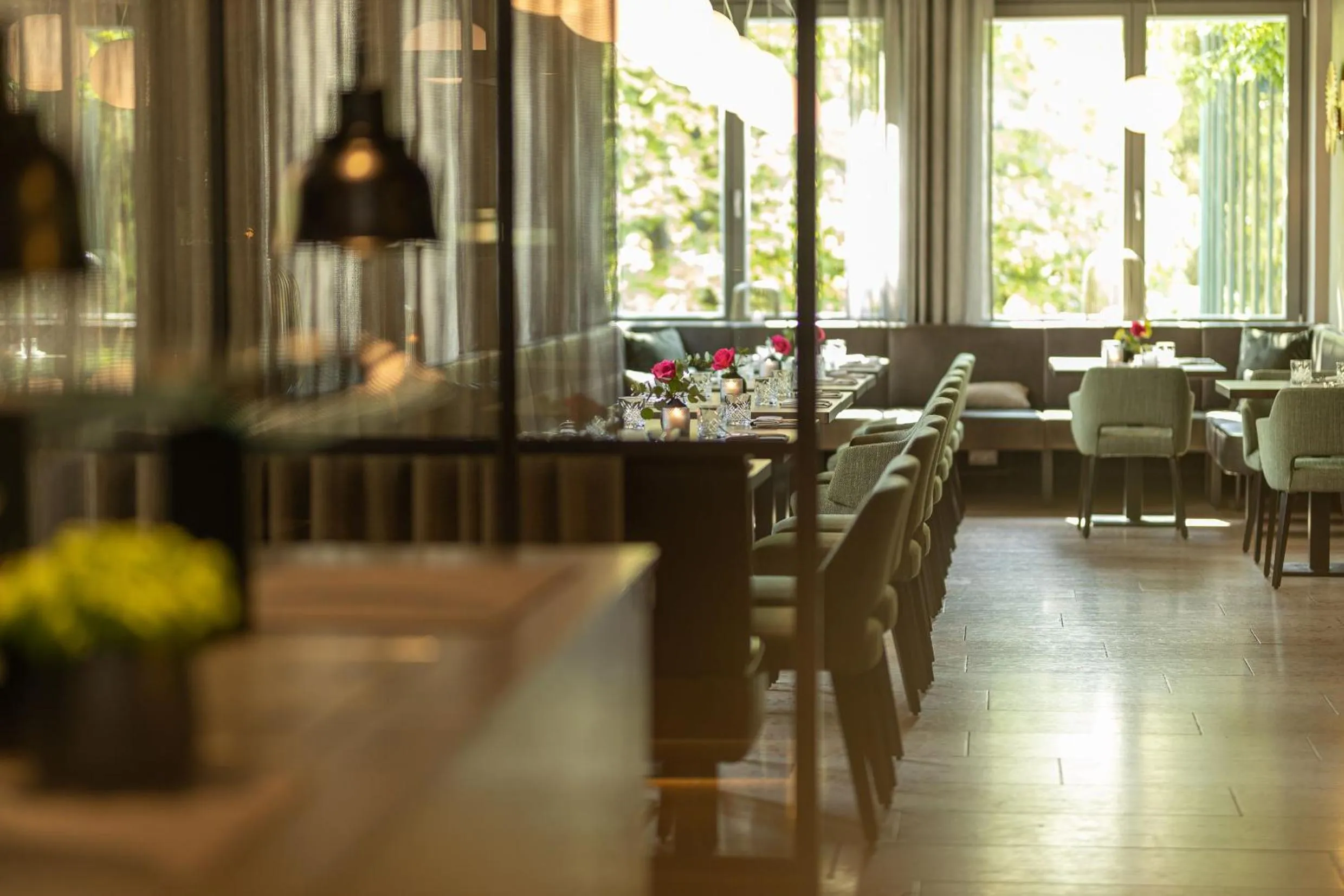 Restaurant/places to eat in Parkhotel Schmid