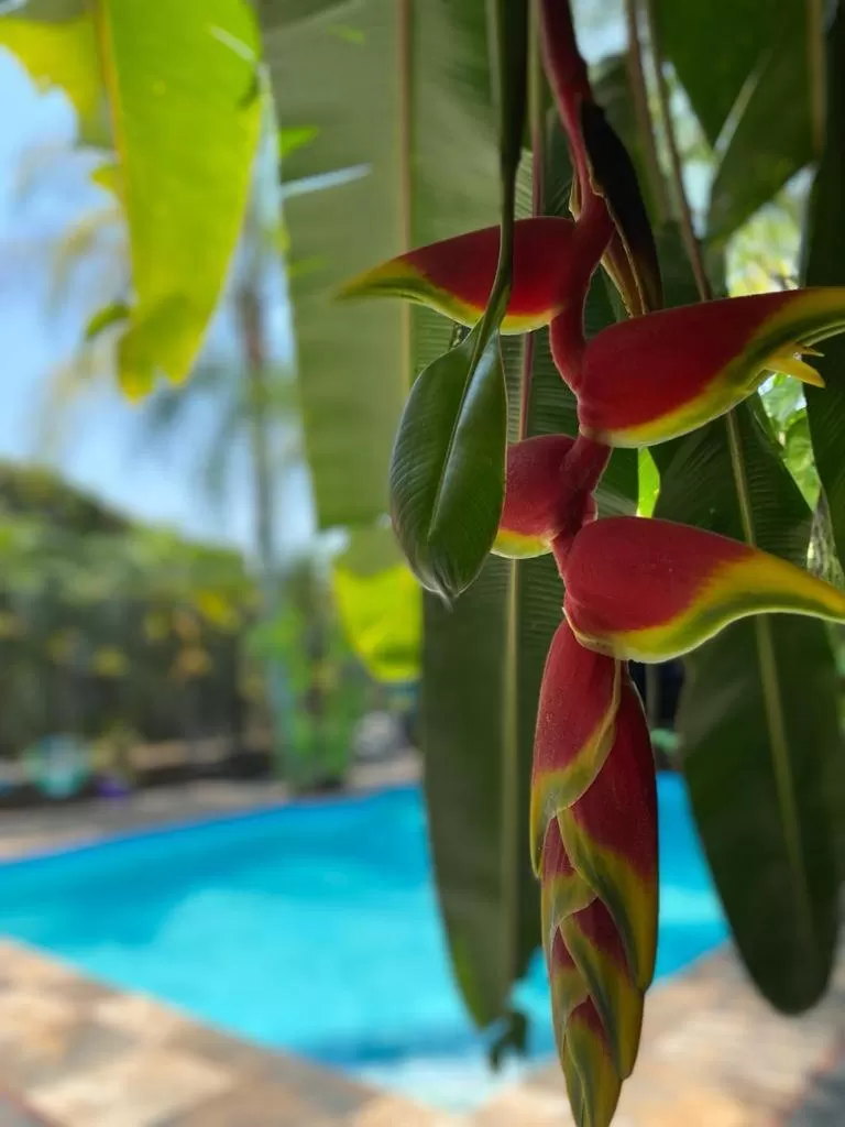 Hotel Camino Surreal Xilitla