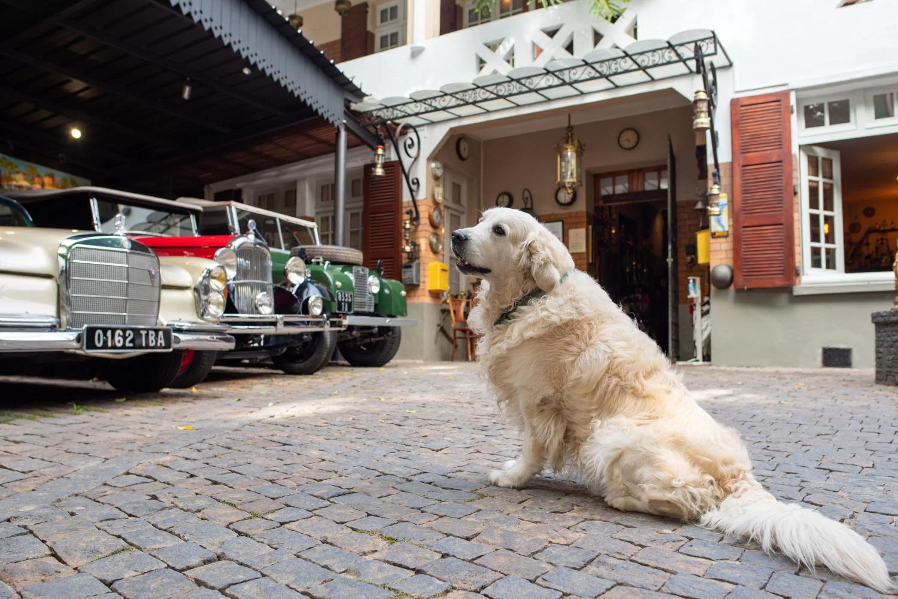 Property building in La Varangue