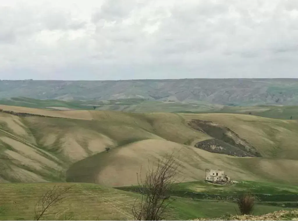 Natural Landscape in B&b Mantegna Irsina Mt
