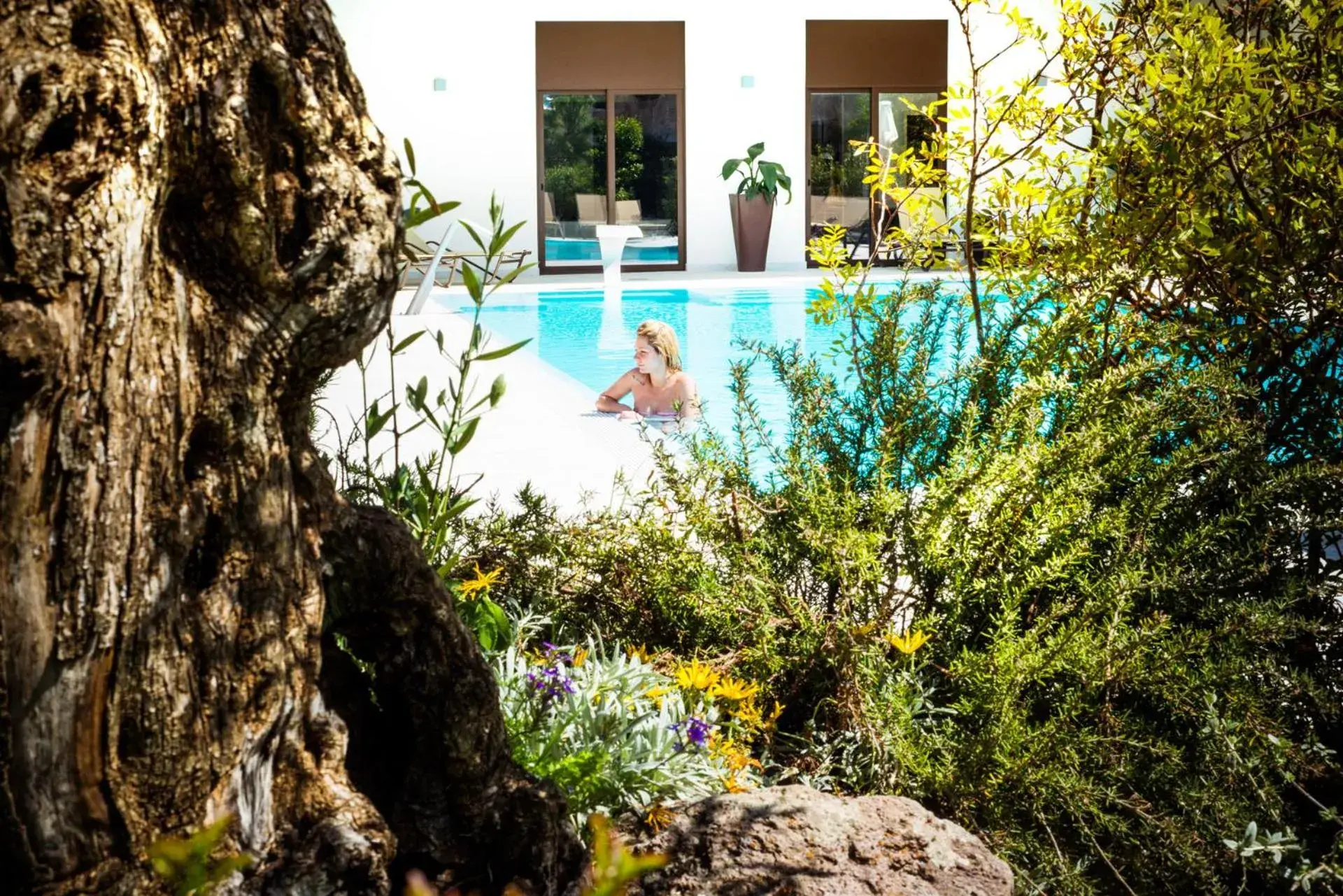 Swimming Pool in Janus Hotel