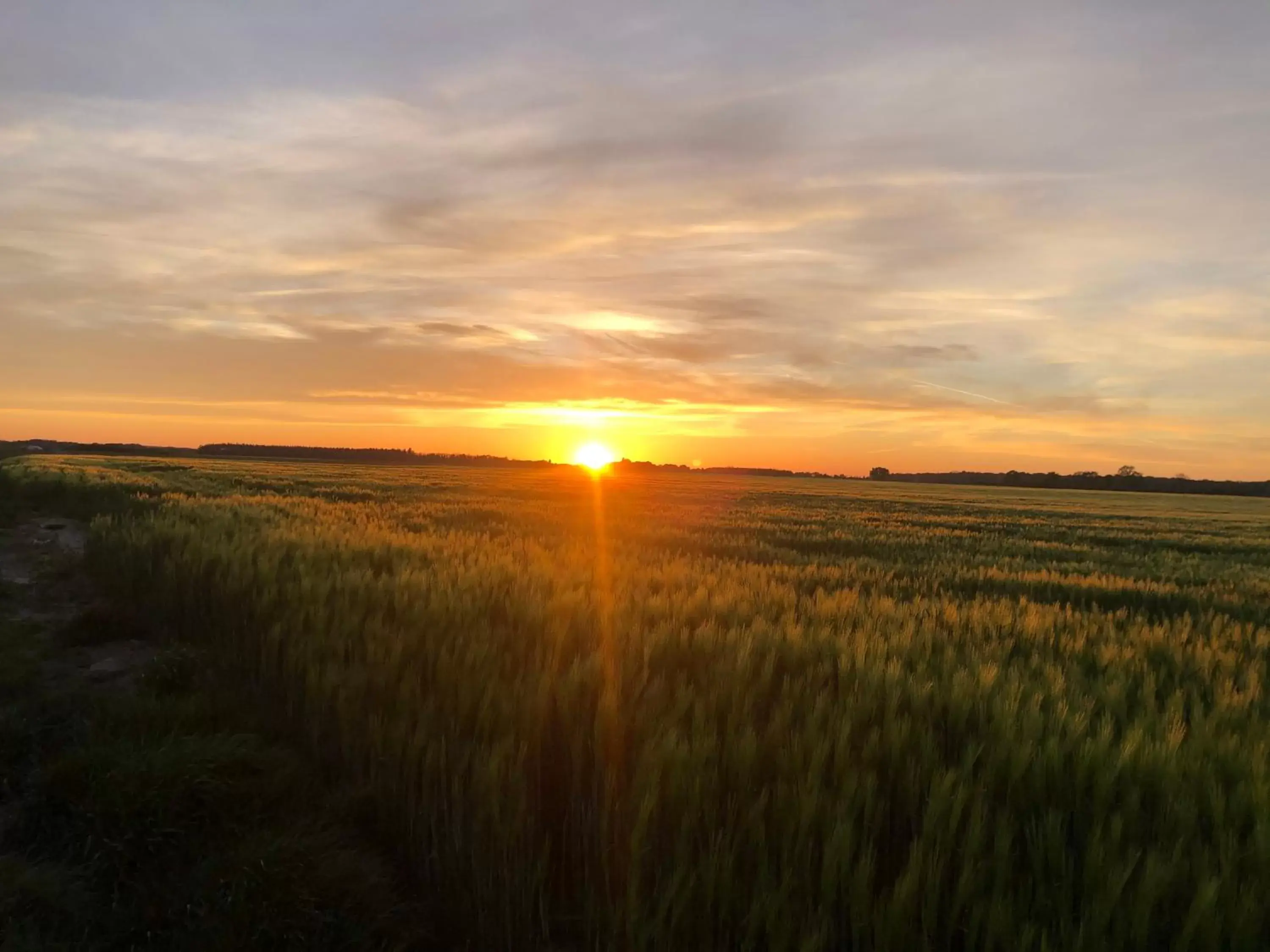 Sunrise/Sunset in La plaine de l'Angelus