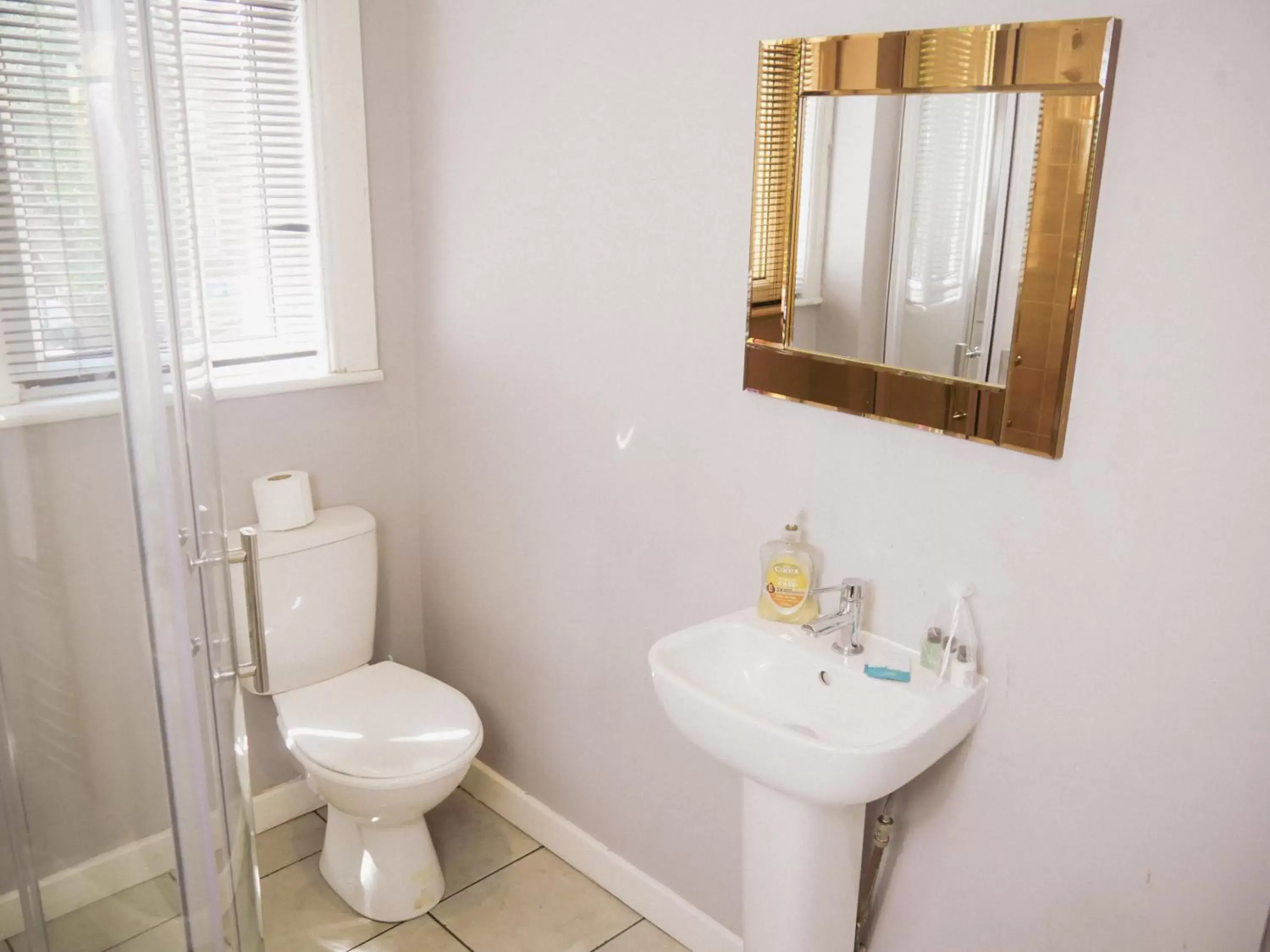 Toilet, Bathroom in Hotel Anfield