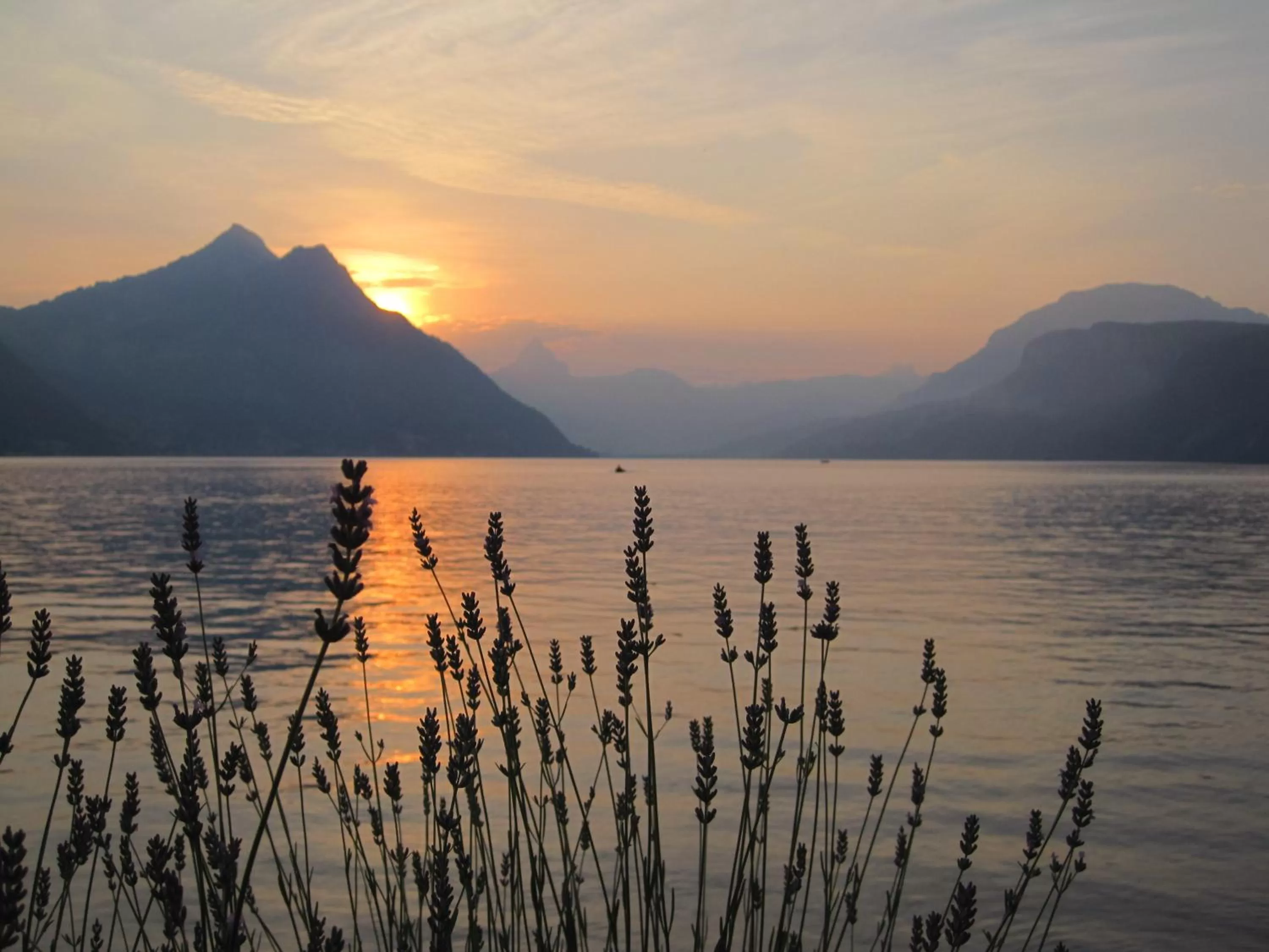 Area and facilities in Hotel Nidwaldnerhof direkt am See