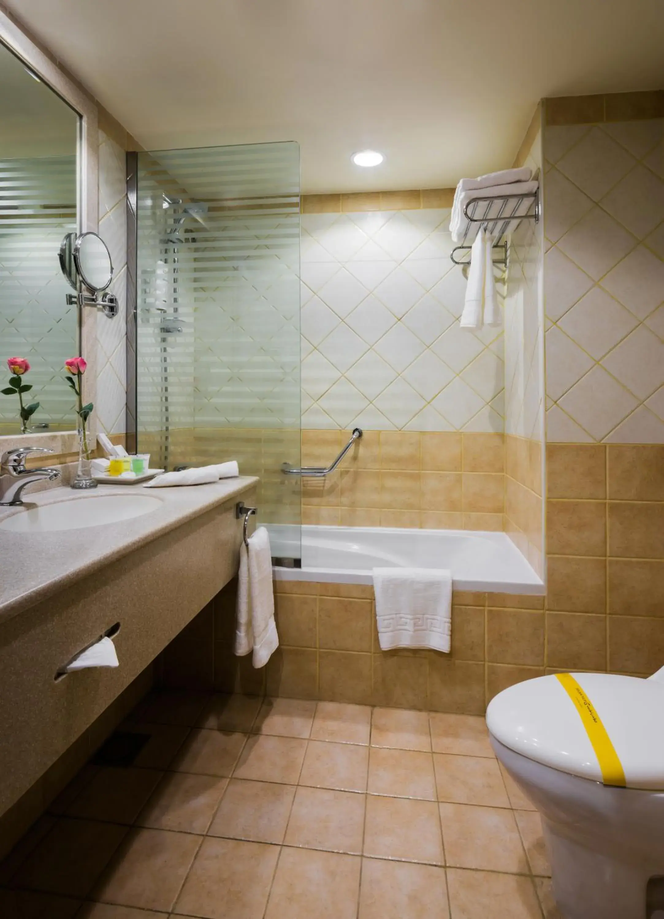 Bathroom in Golden Tulip Qasr Al Nasiriah