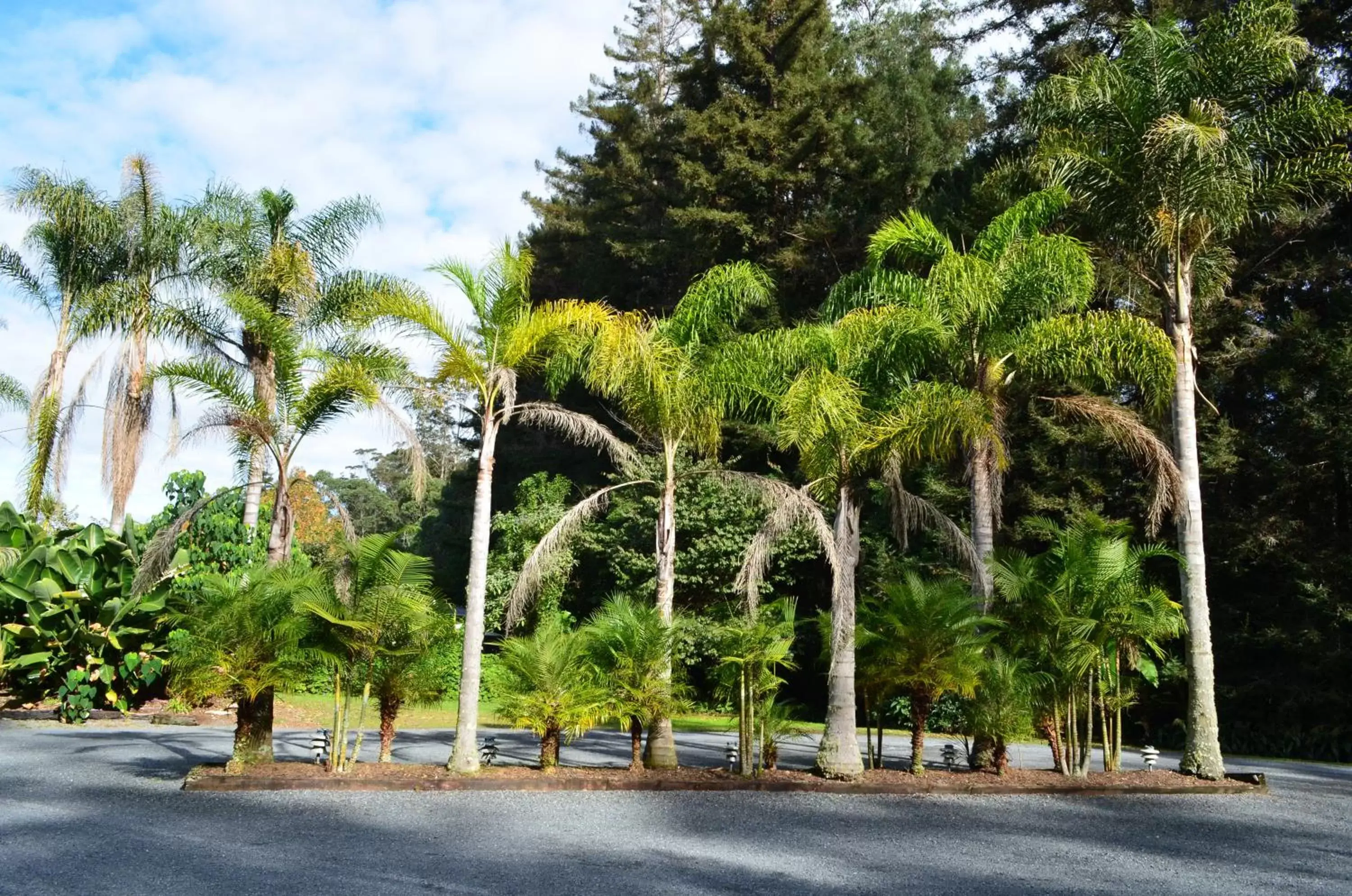 Area and facilities in Woodlands Motel