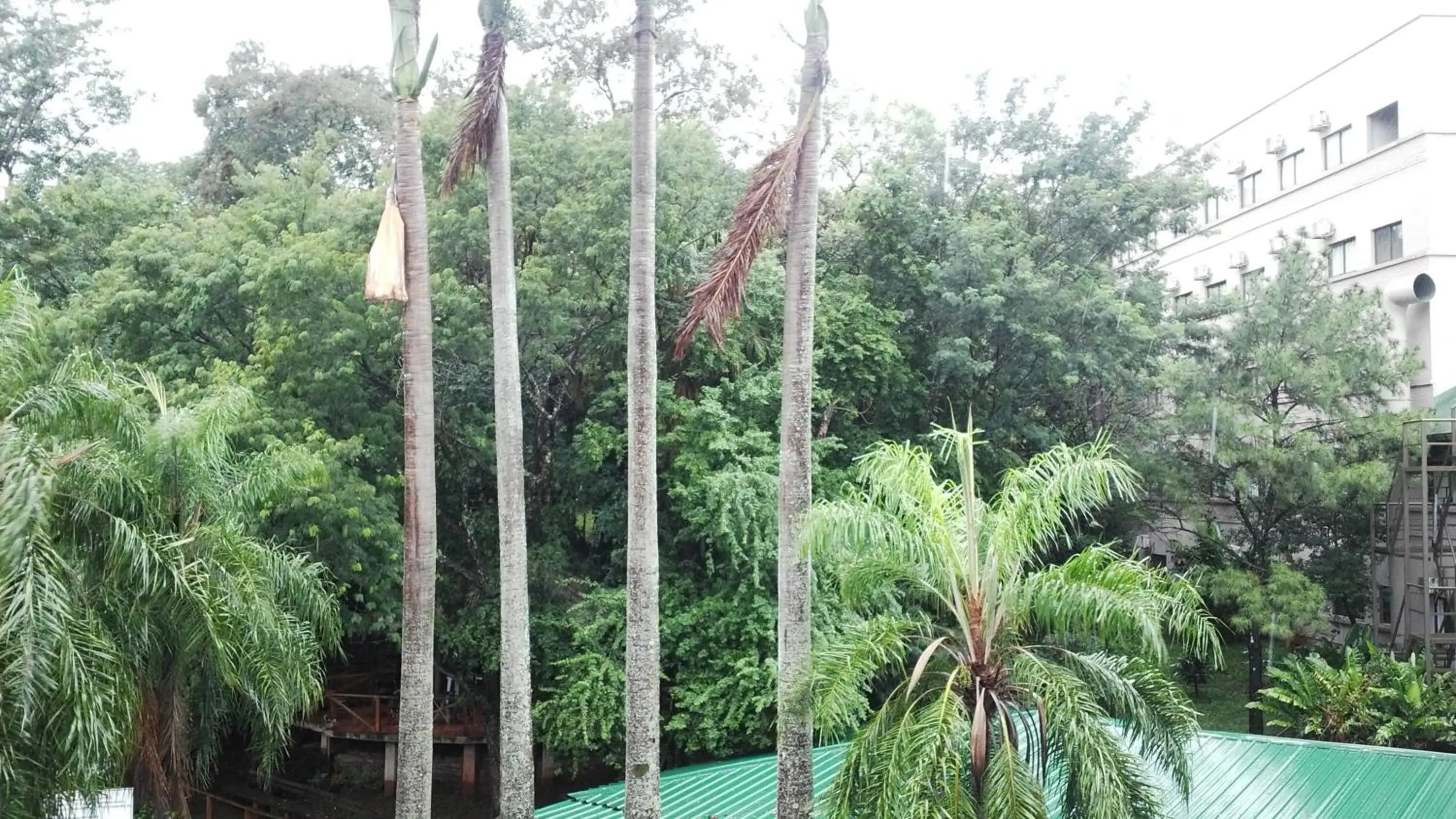 Natural landscape in Hotel El Libertador