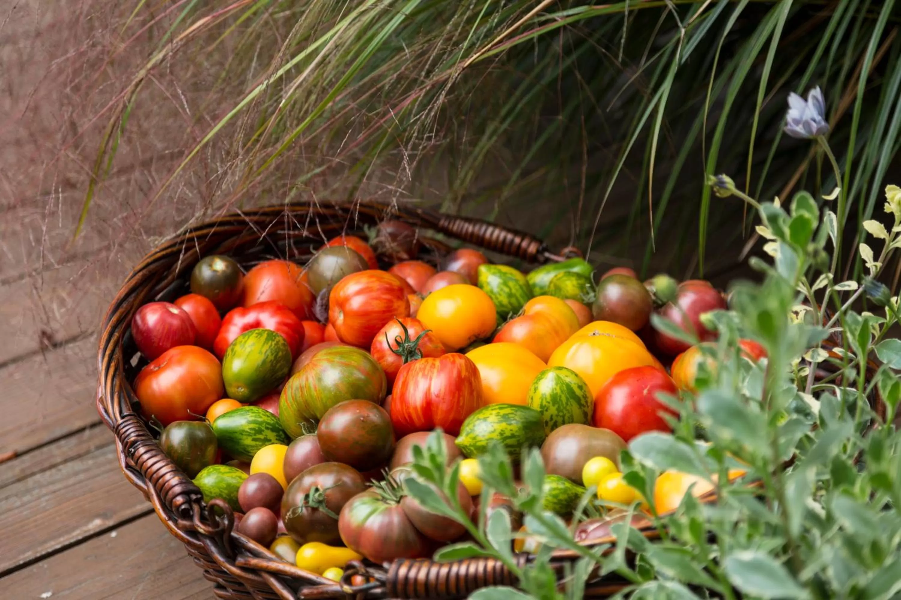 Restaurant/places to eat in Brewery Gulch Inn & Spa