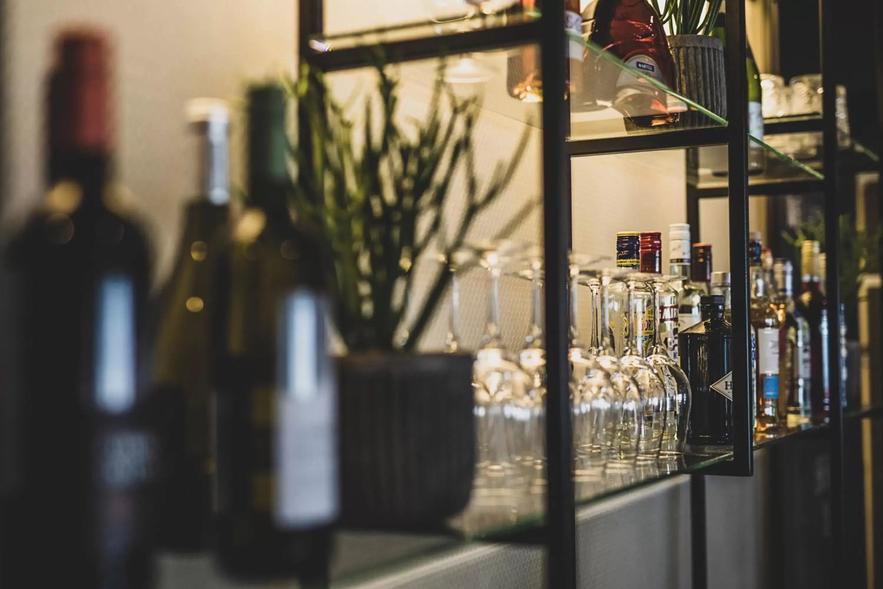 Lounge or bar in Hotel Atlantic Lounge or bar in Hotel Atlantic