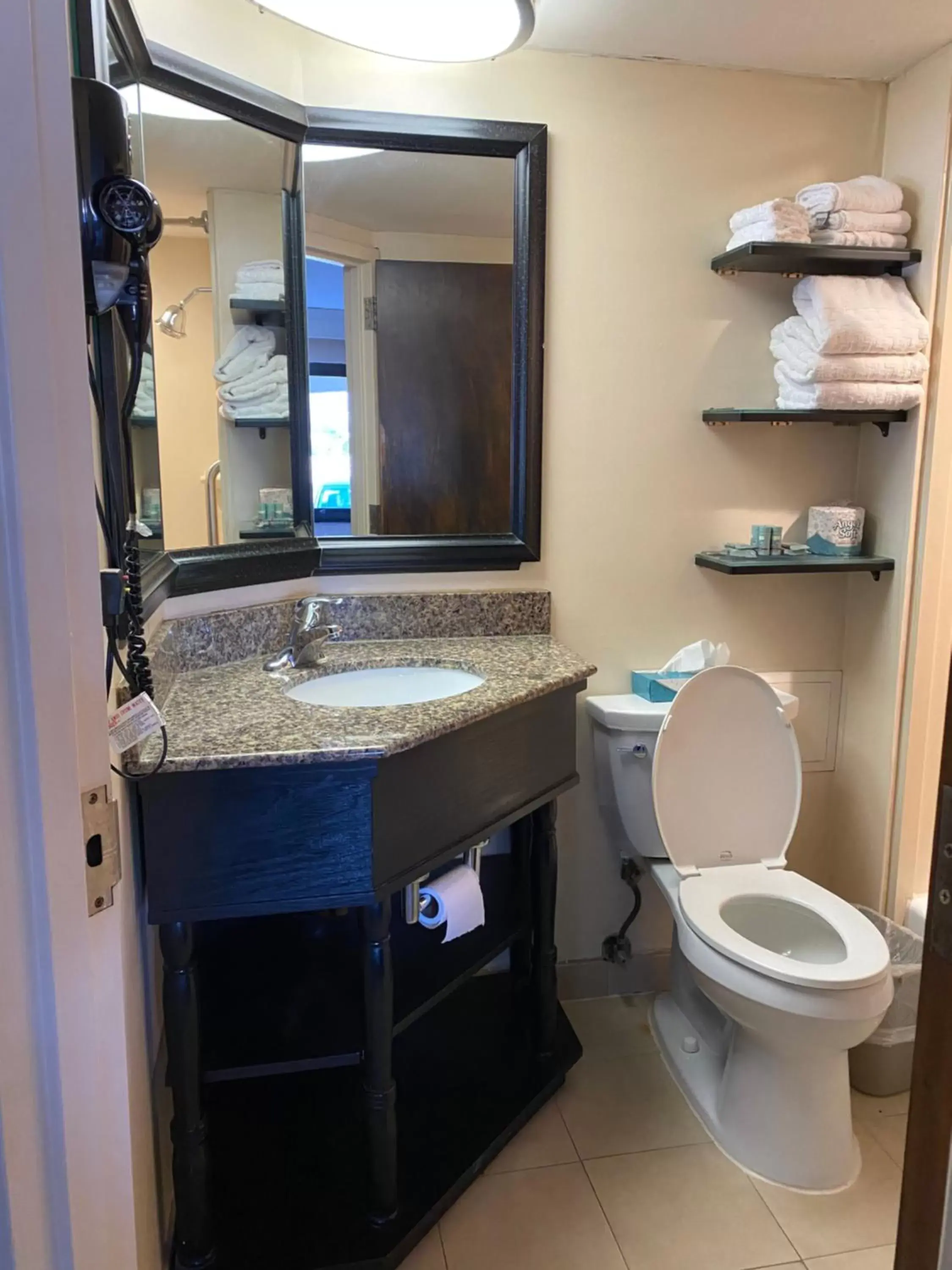 Toilet, Bathroom in Best Western Bar Harbour Inn