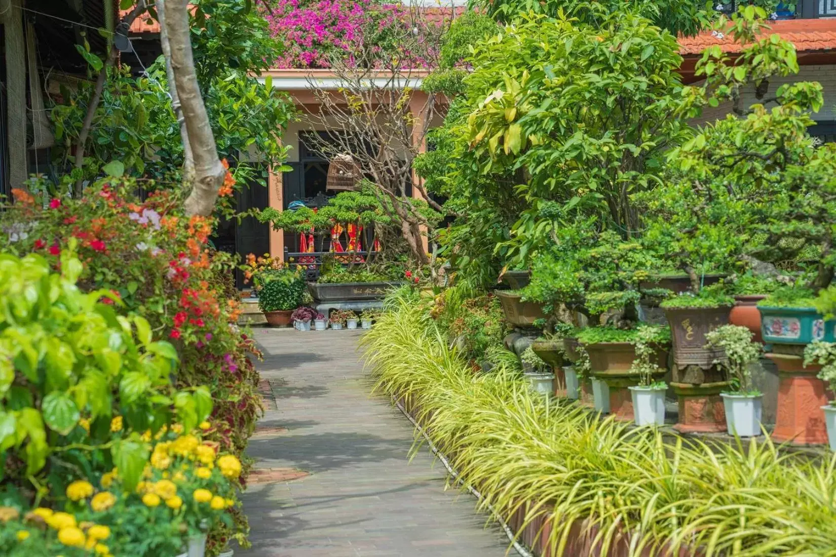 Garden in Betel Garden Villa