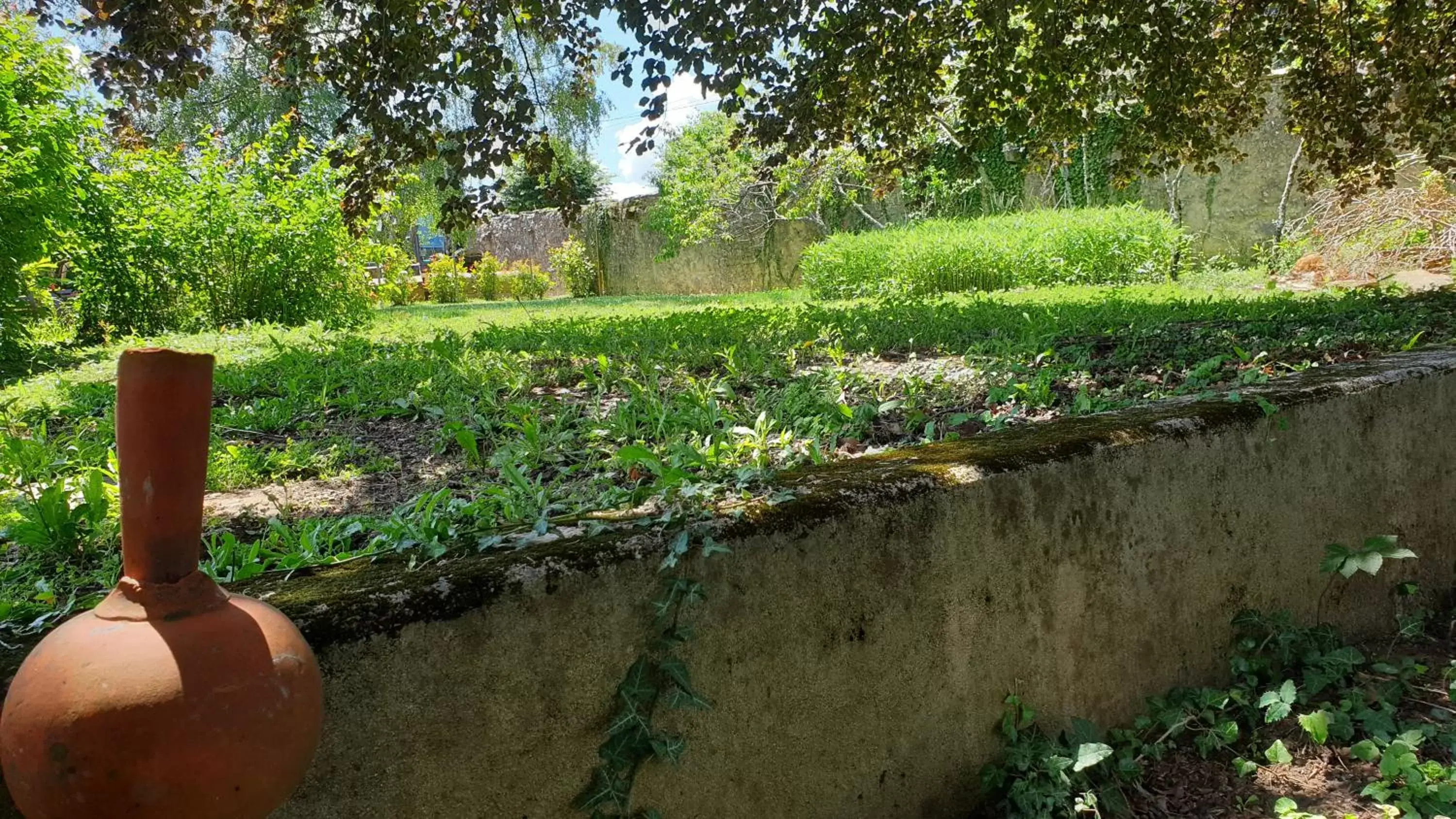 Garden in De passage chez Lili