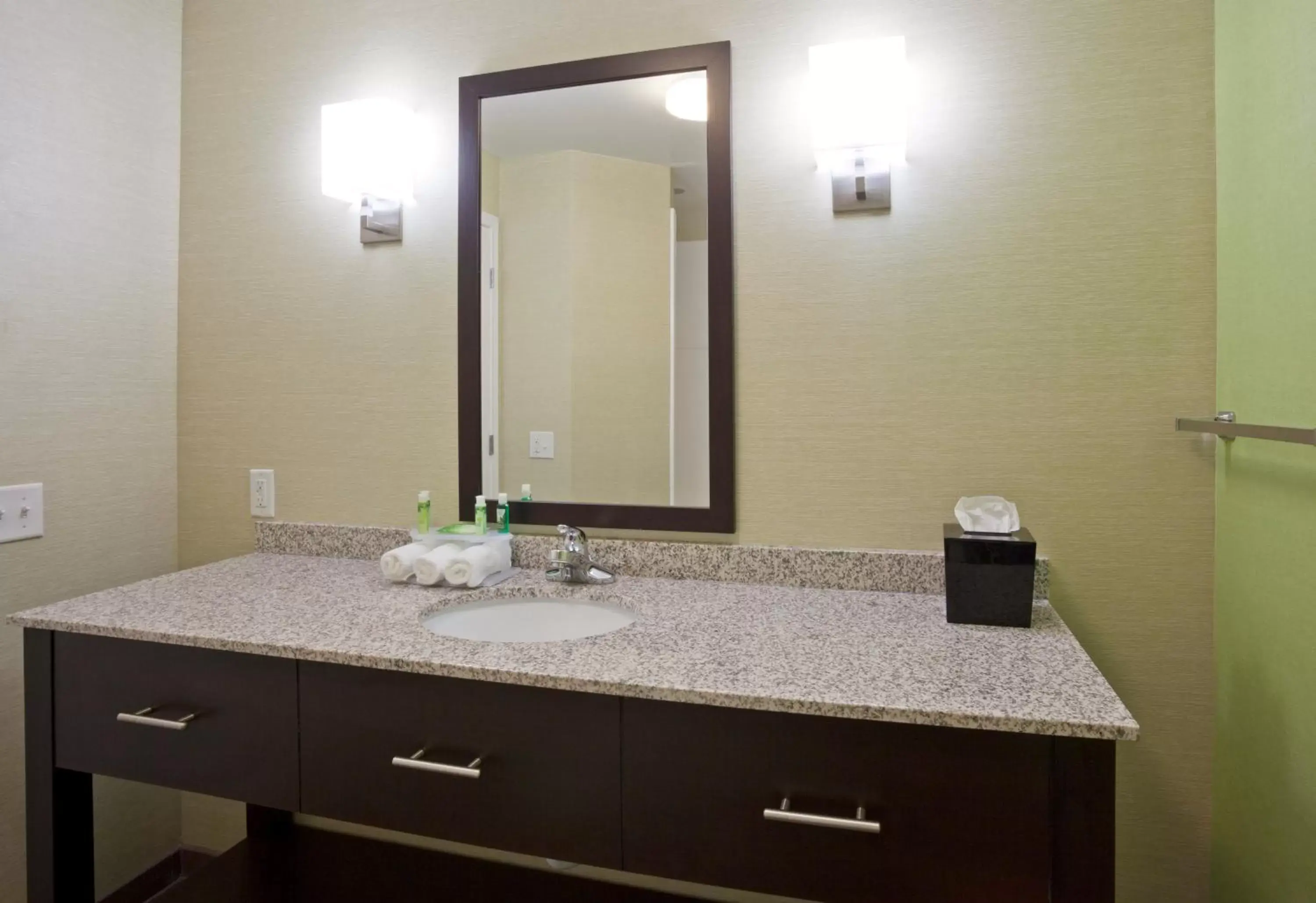 Bathroom in Holiday Inn Express Hotel & Suites Rogers, an IHG Hotel