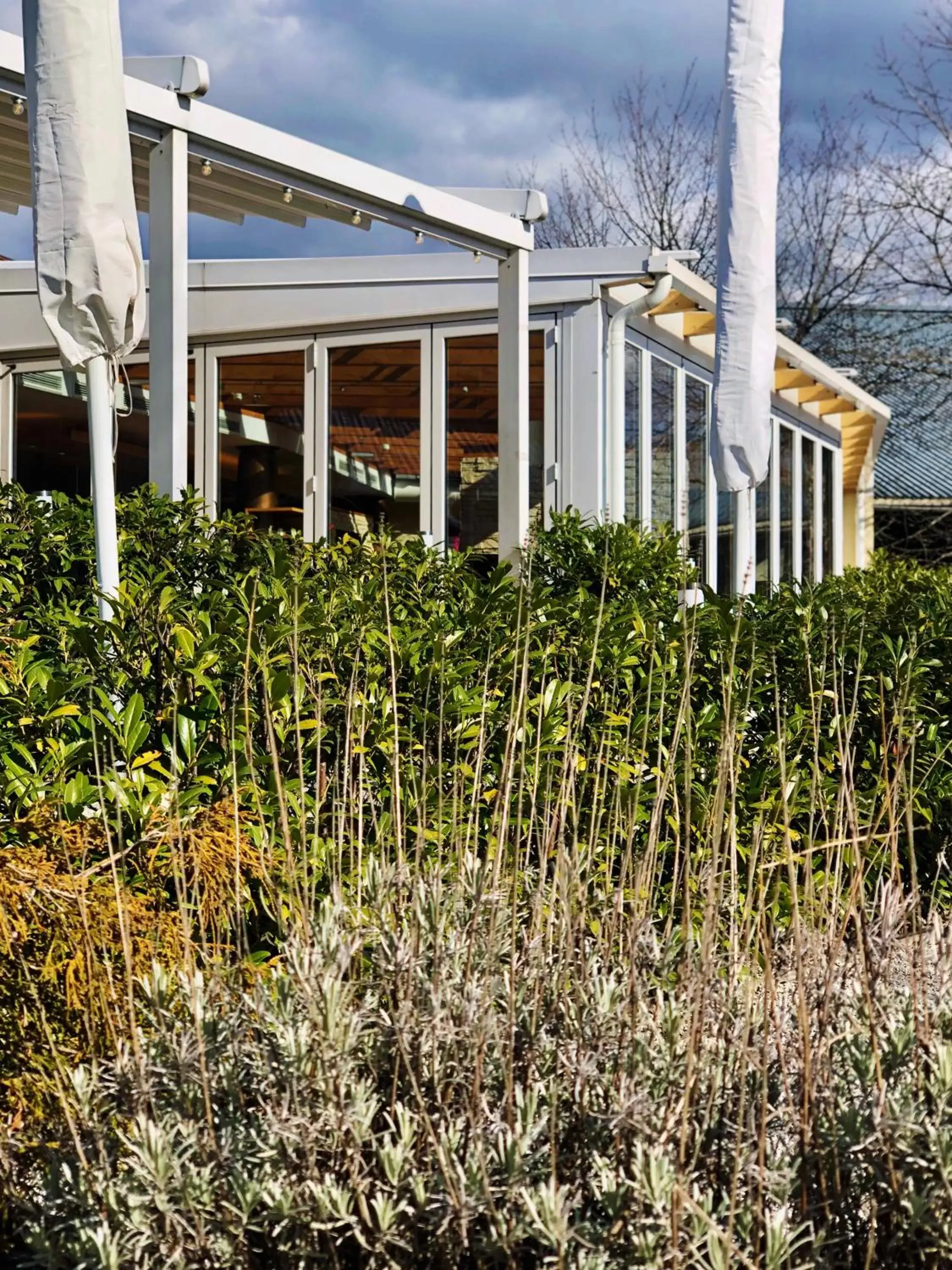 Garden, Property Building in Momentum Hotel