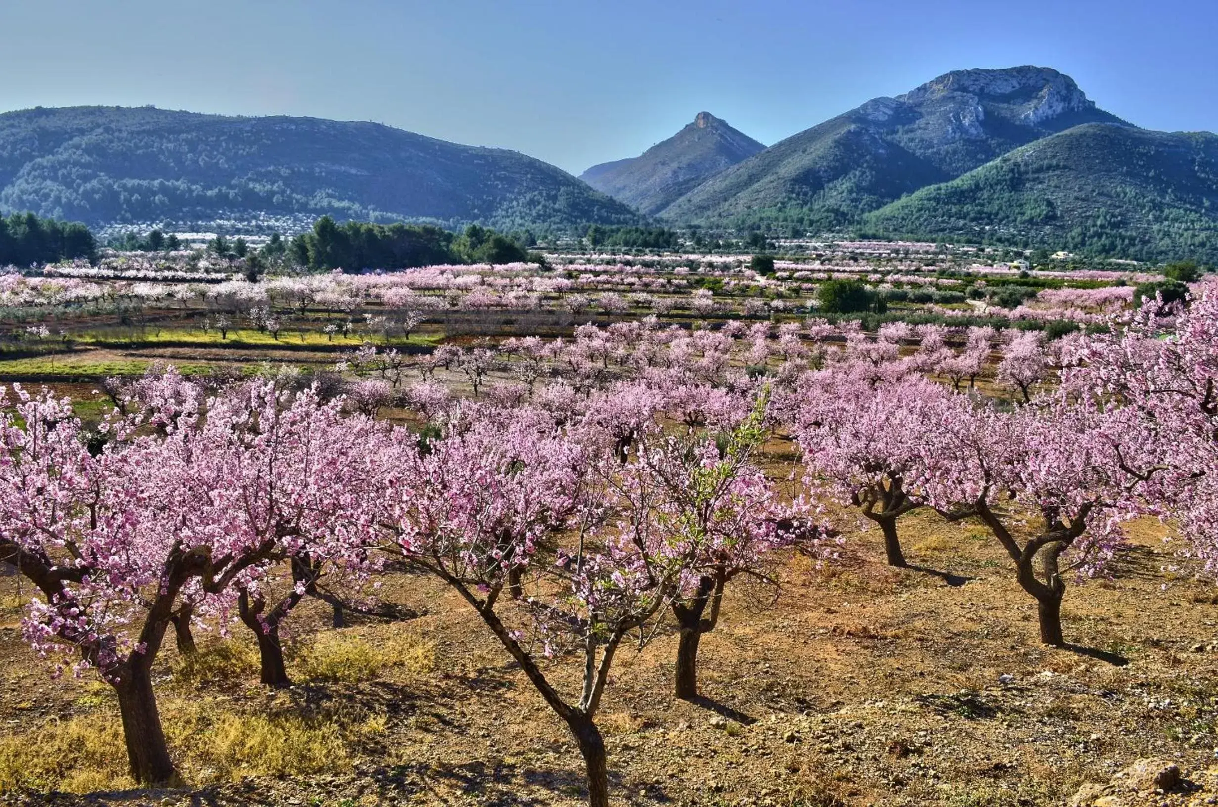 Natural landscape in Casa Mistela