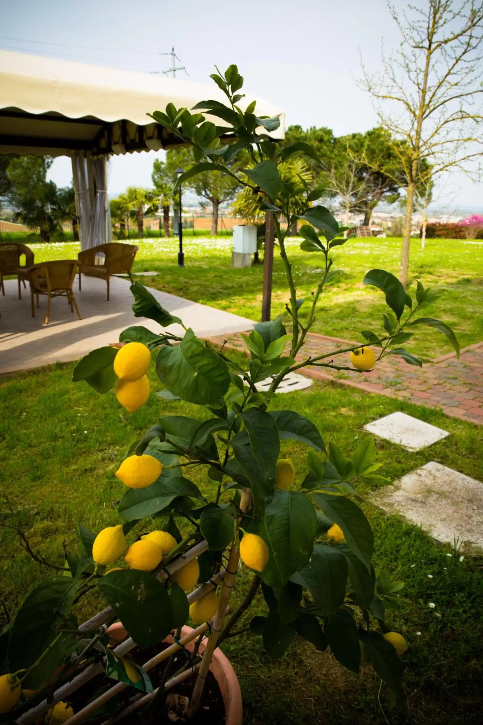 Garden view, Garden in B&B Magic