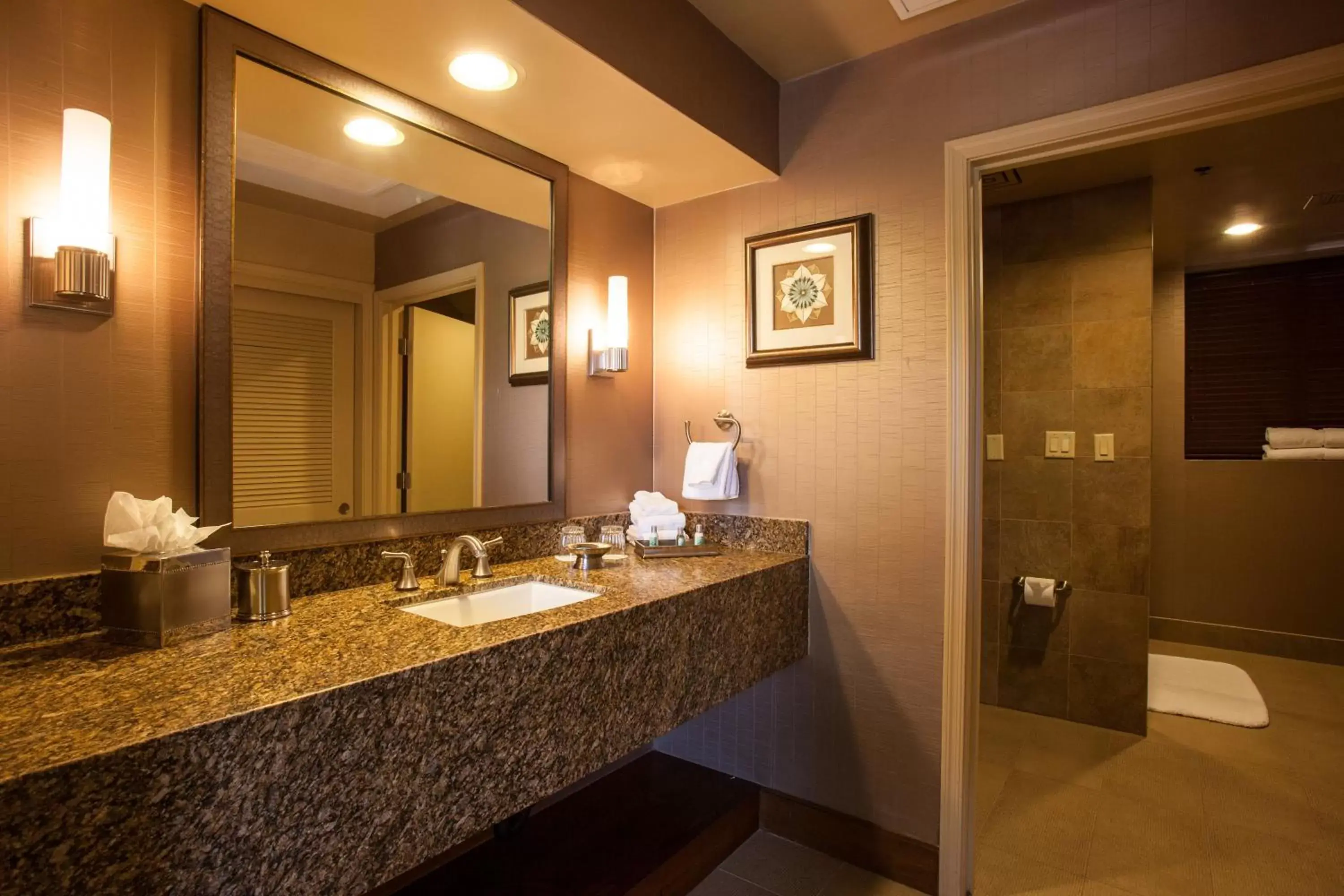 Bathroom in The Lodge at Ventana Canyon