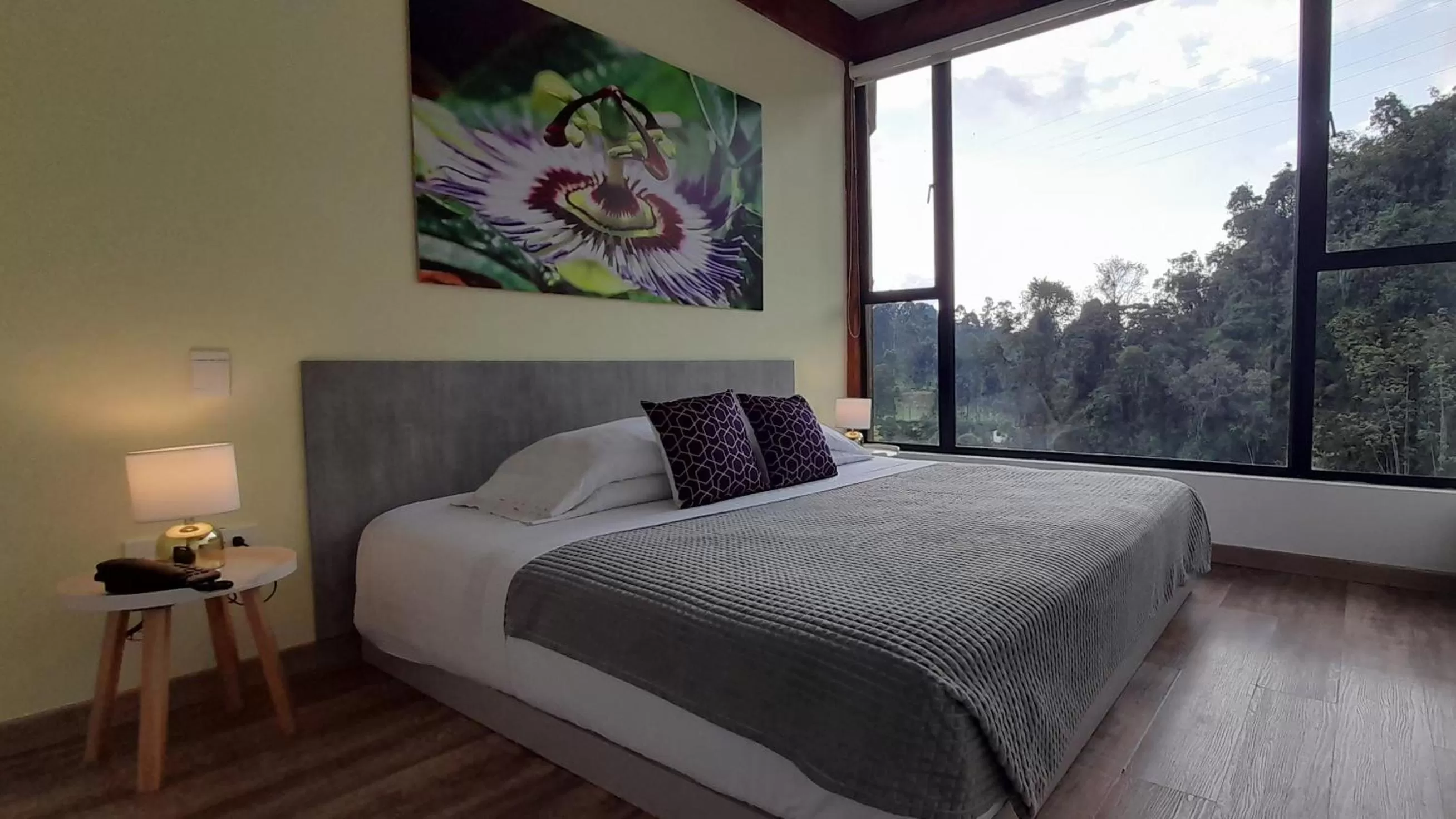 Bed in Hotel Termales Tierra Viva