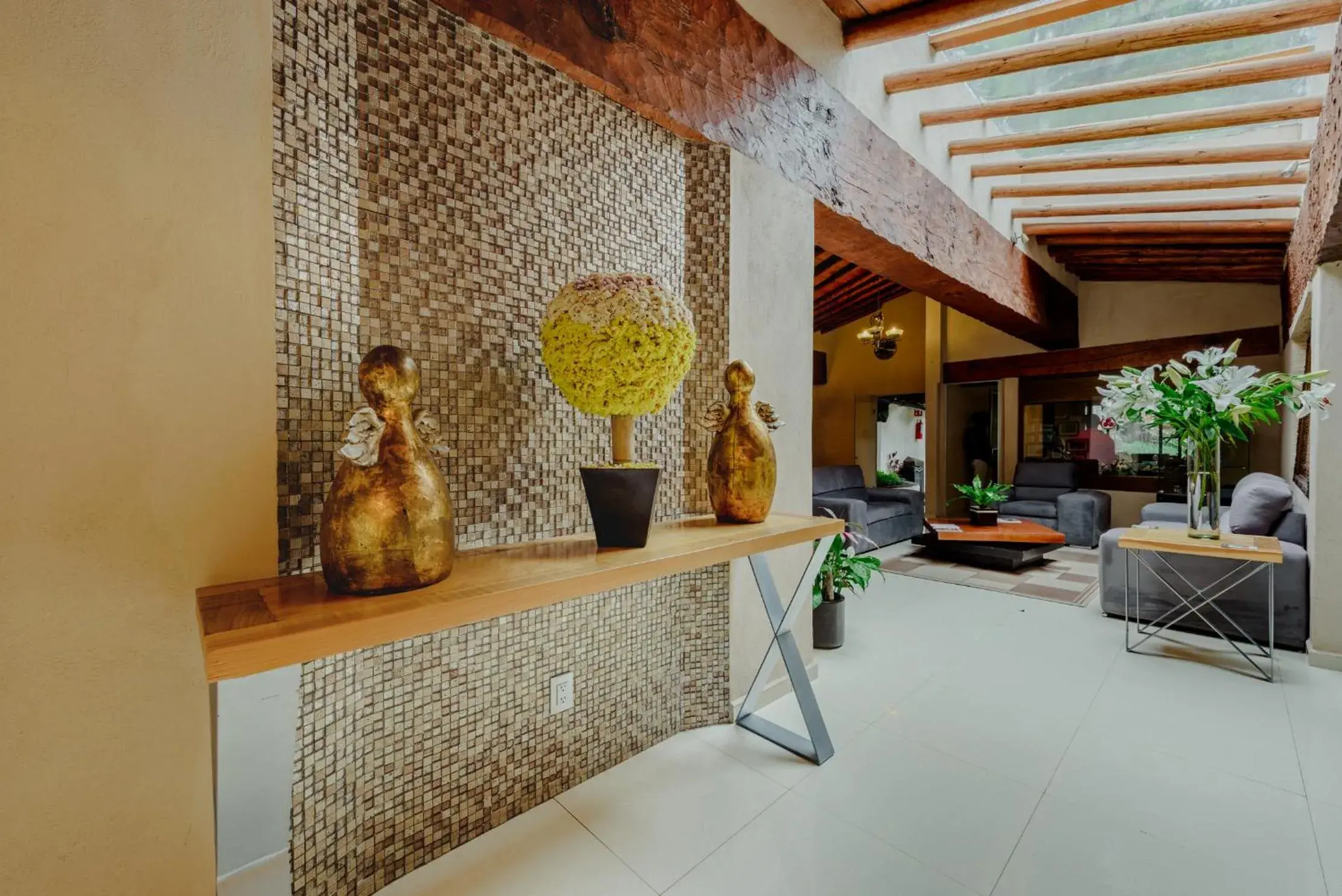 Day, Lobby/Reception in Loto Azul Hotel & Spa