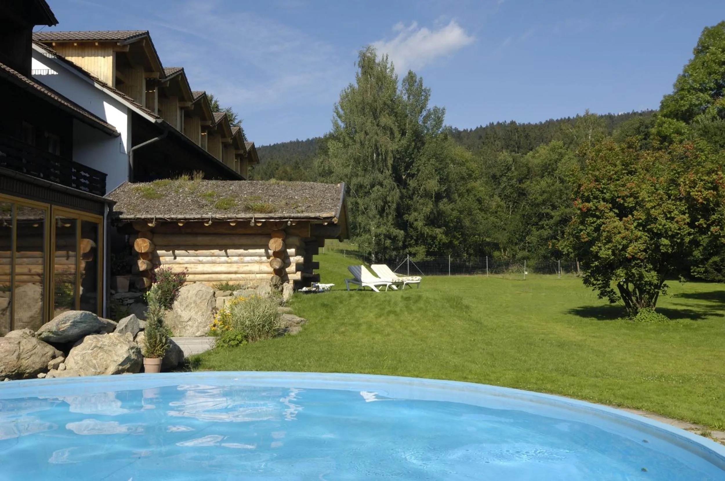 Swimming pool in Hotel Gut Schmelmerhof