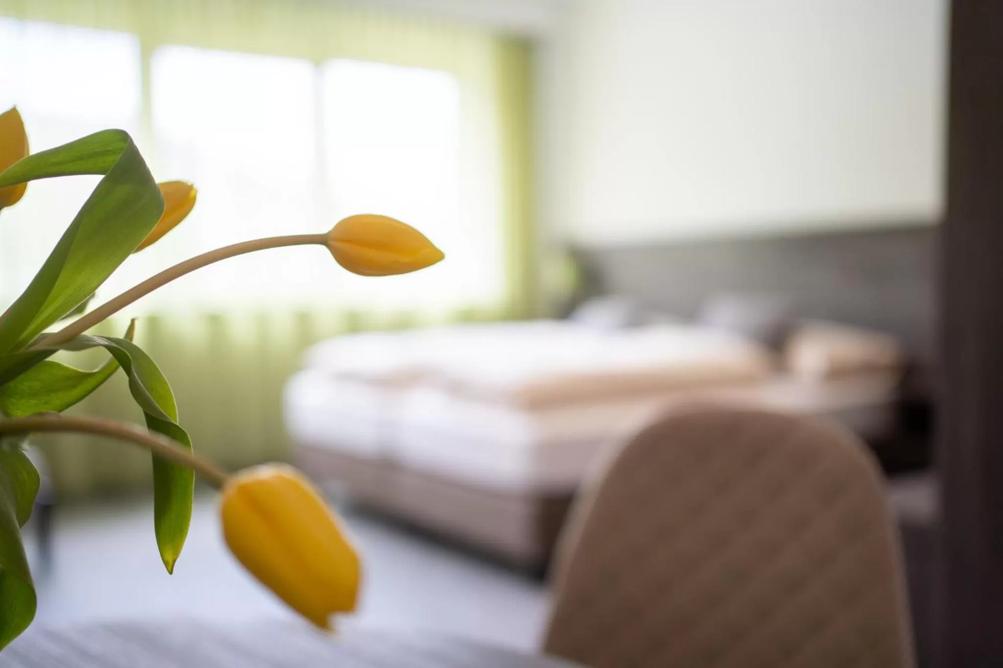 Decorative detail, Bed in eee Hotel Liezen