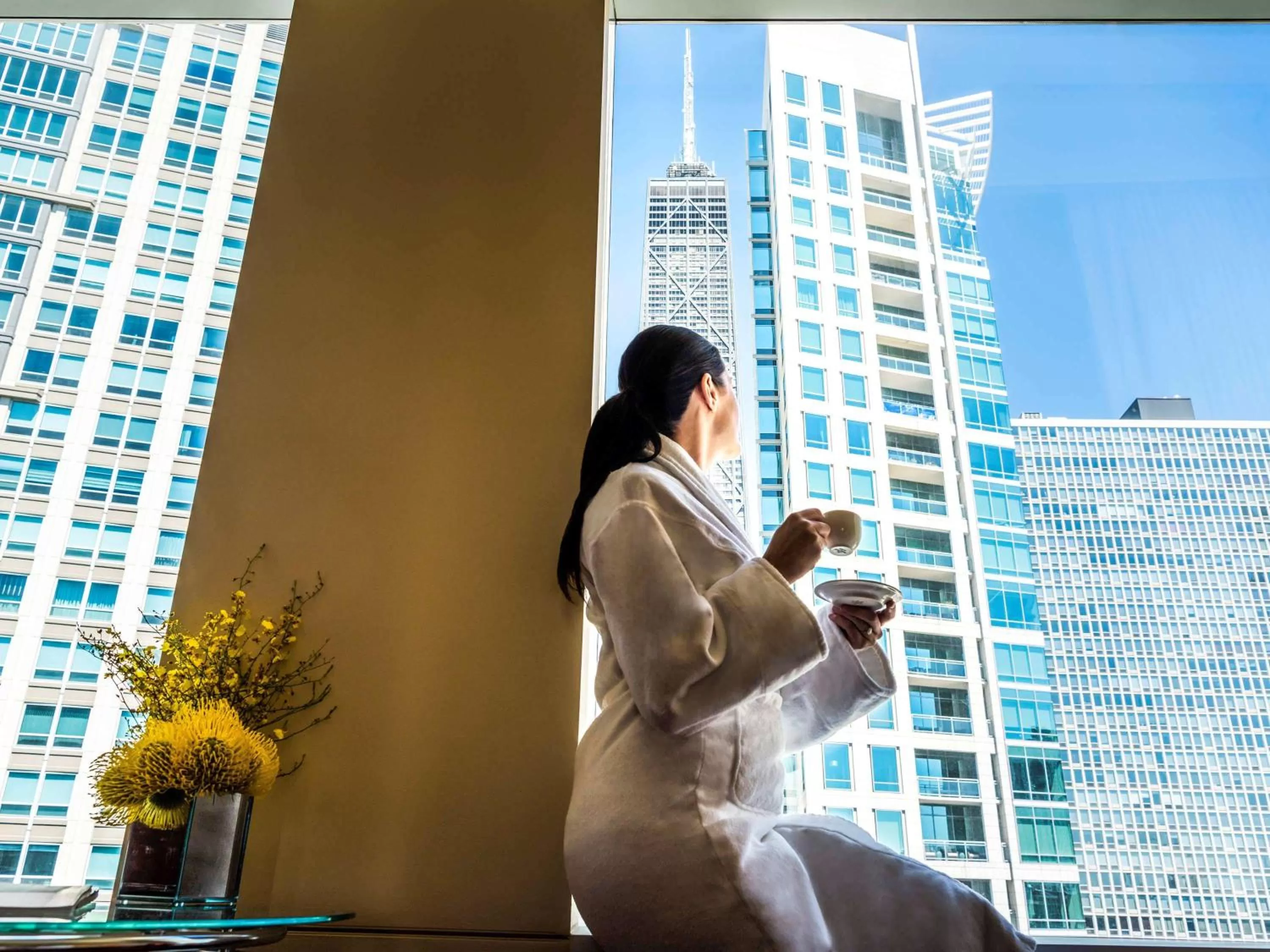 View (from property/room) in Sofitel Chicago Magnificent Mile