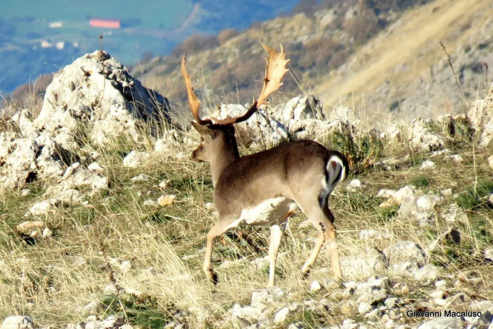 Hiking, Other Animals in Hotel Residenza Petra