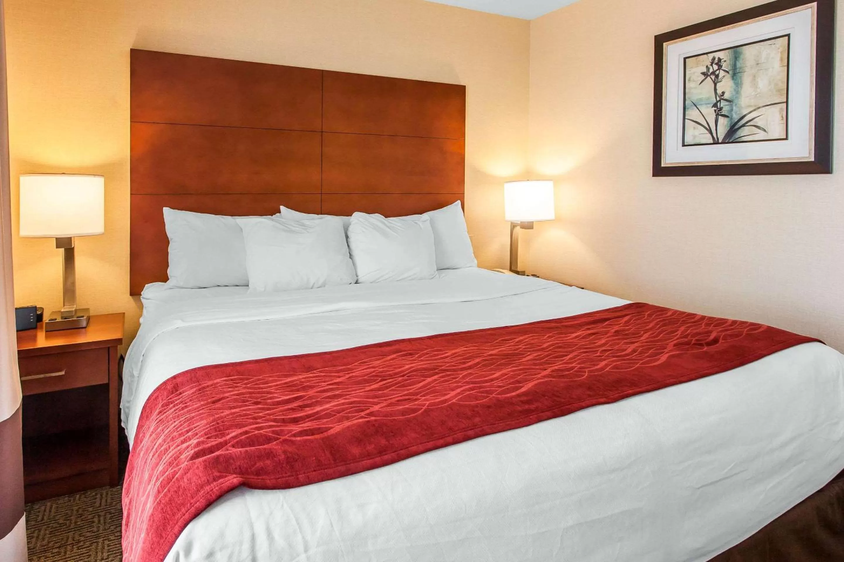 King Room - First Floor - No Pets - Non-Smoking in Comfort Inn & Suites Near Fallon Naval Air Station