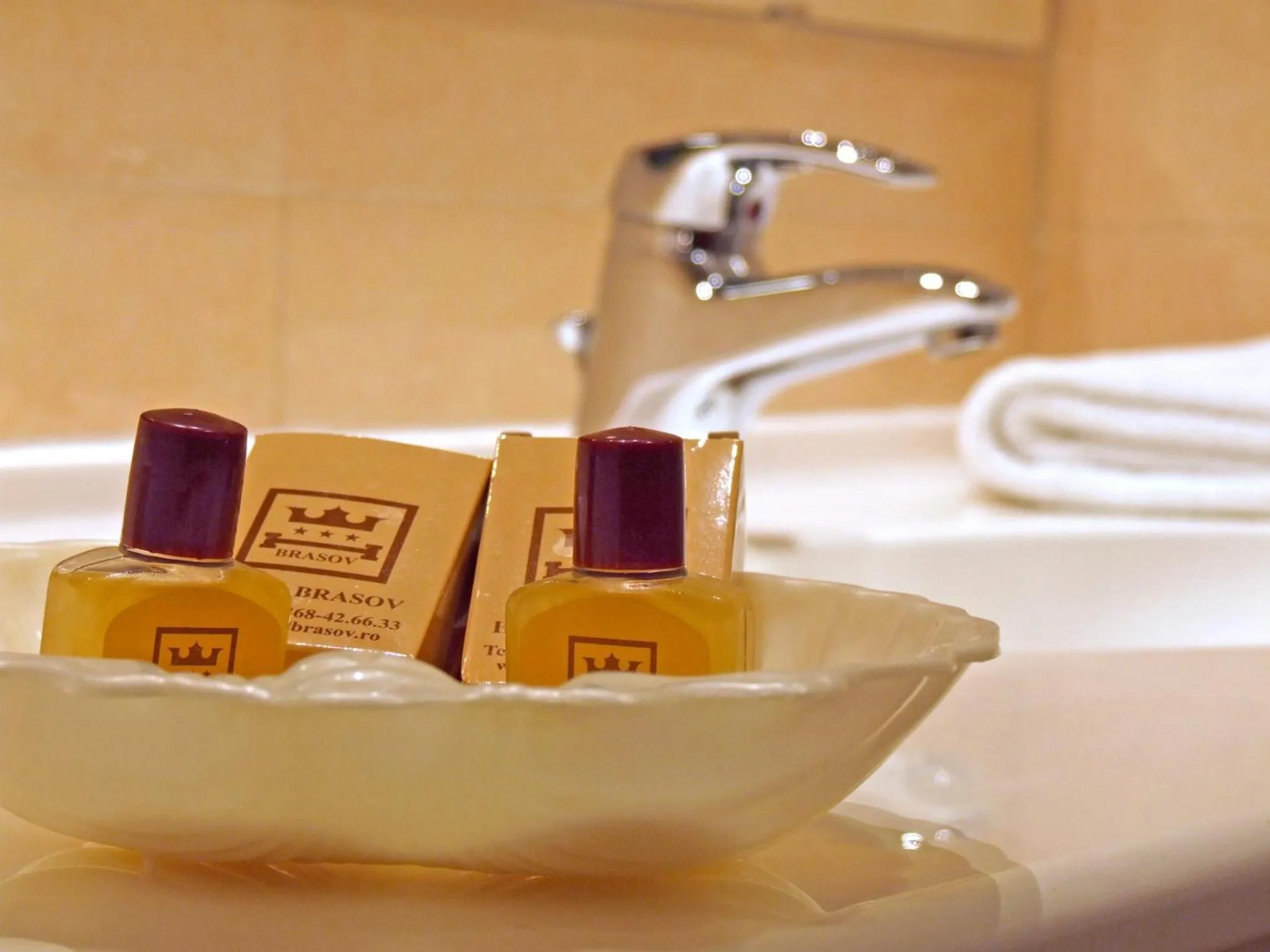 Twin Room in Hotel Brasov