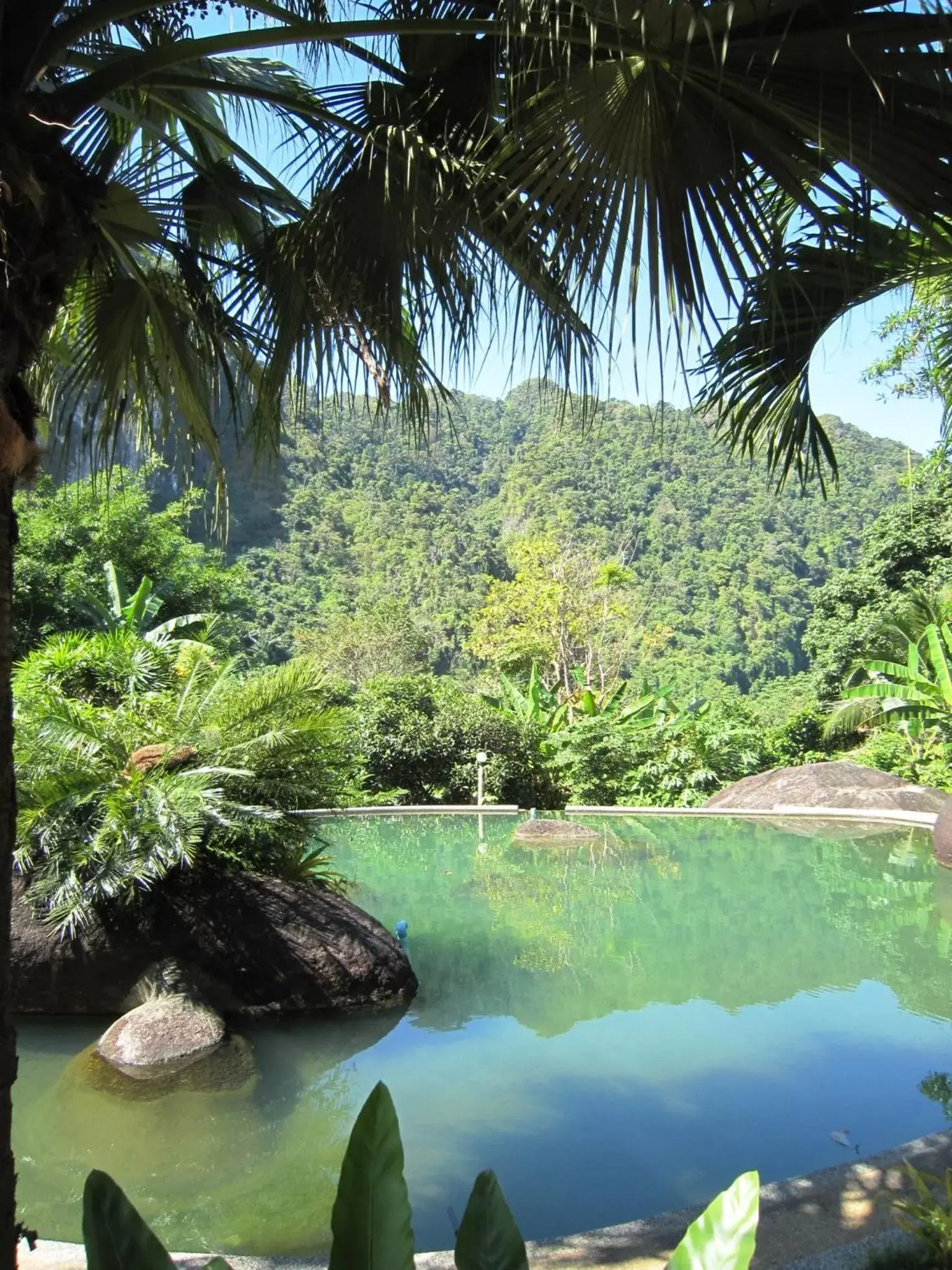 Swimming Pool in Phanom Bencha Mountain Resort