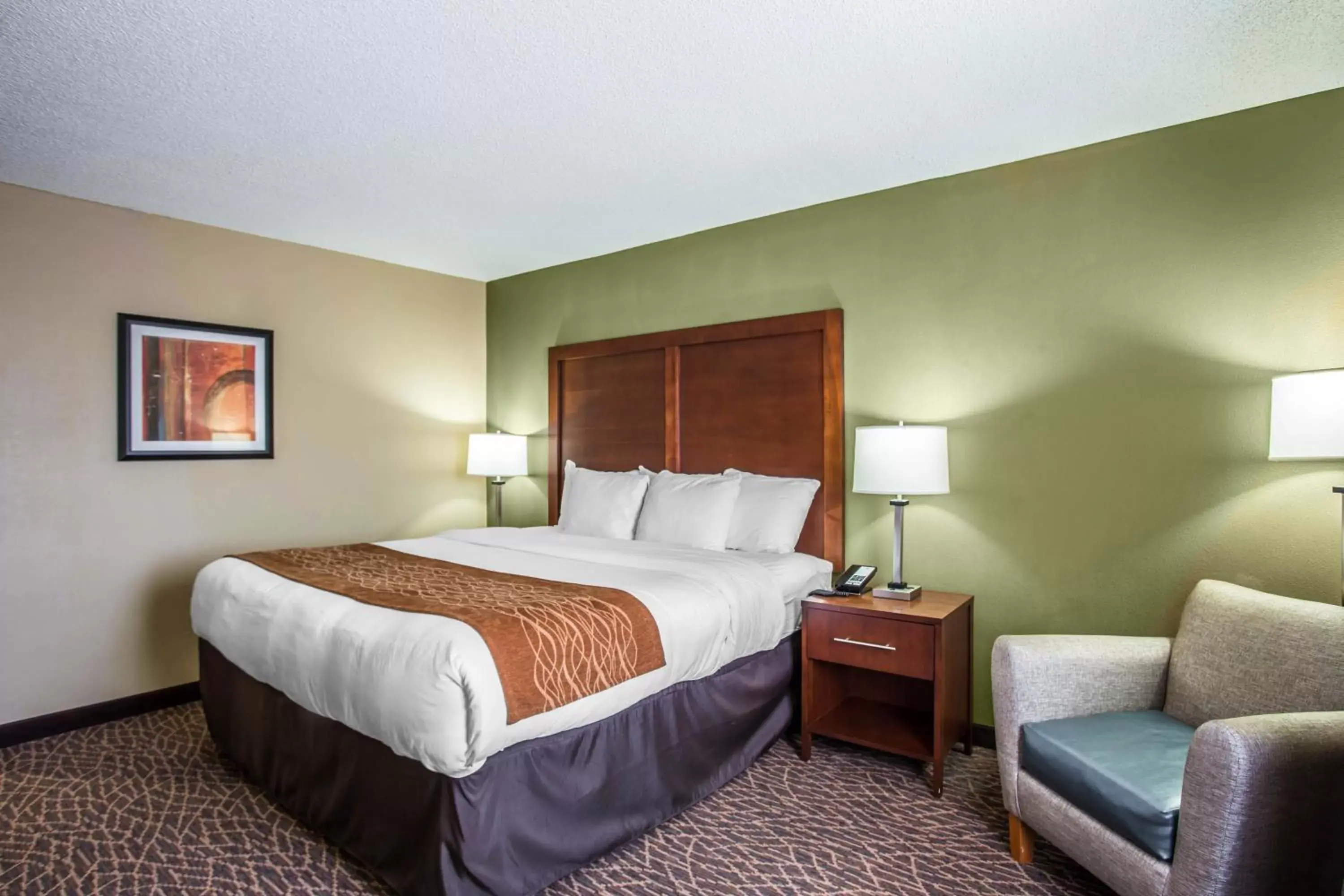 King Room - Accessible/Non-Smoking in Comfort Inn & Suites Kannapolis - Concord