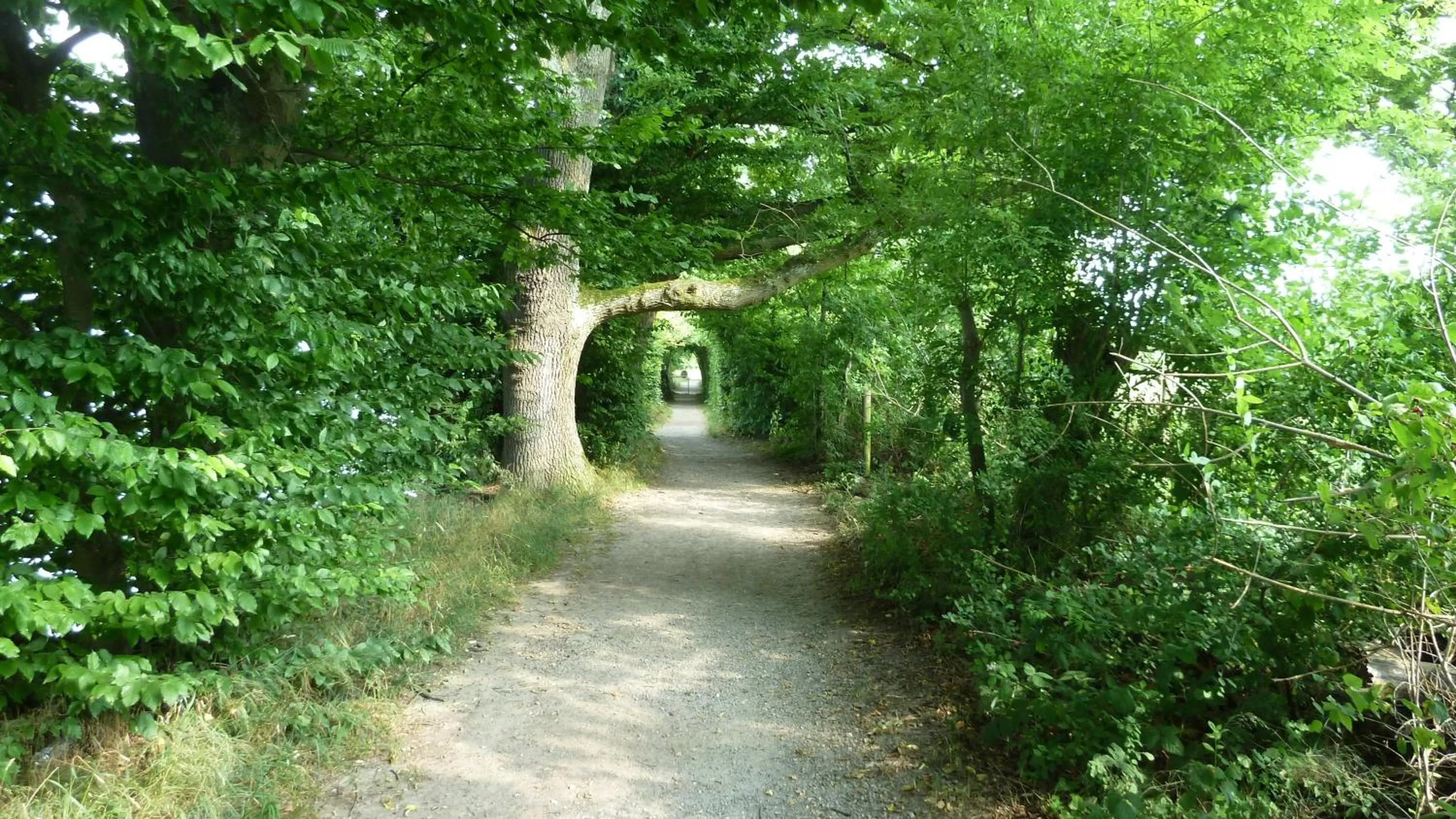 Day in Hotel Restaurant Sokrates