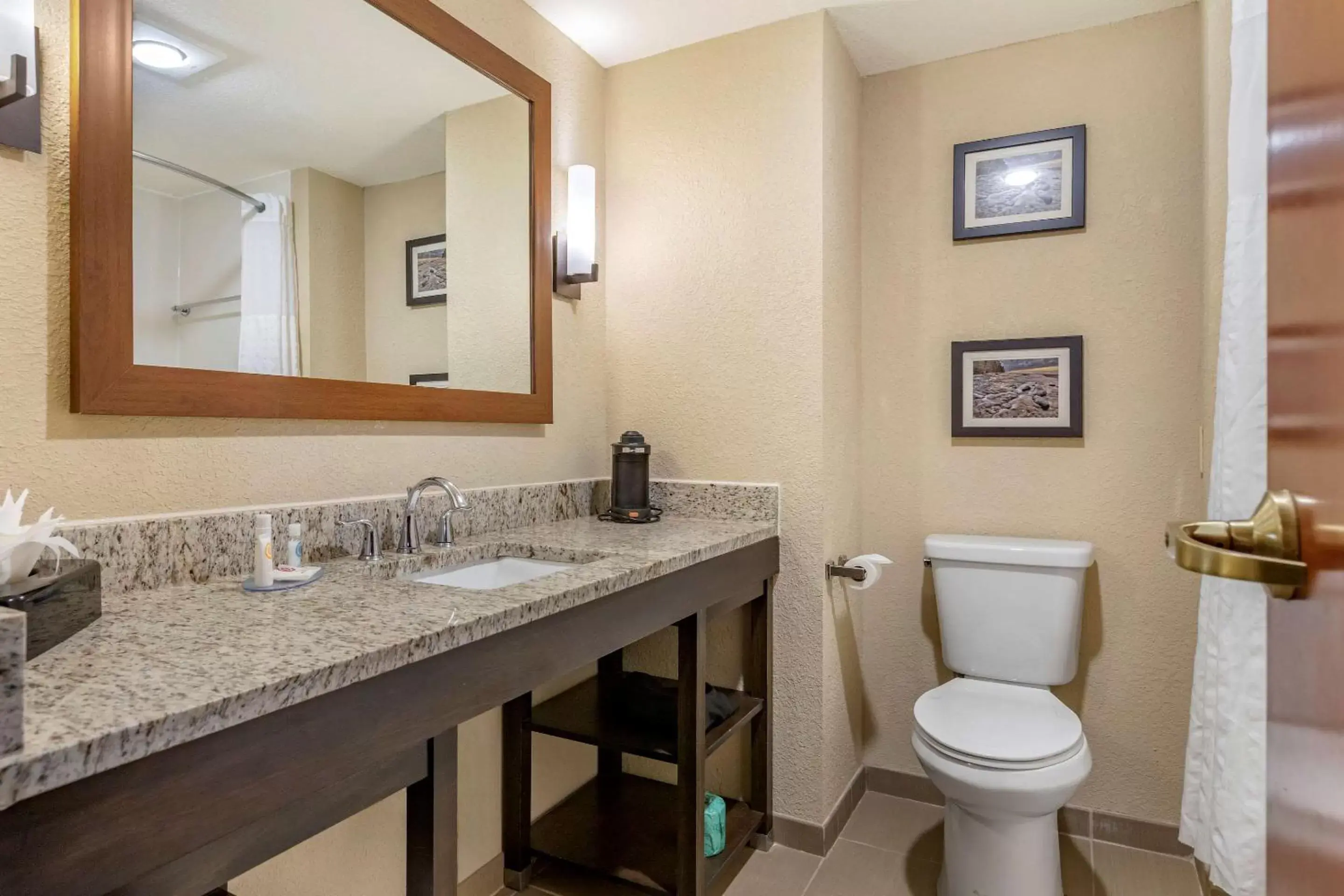 Bathroom in Comfort Inn & Suites Allen Park/Dearborn