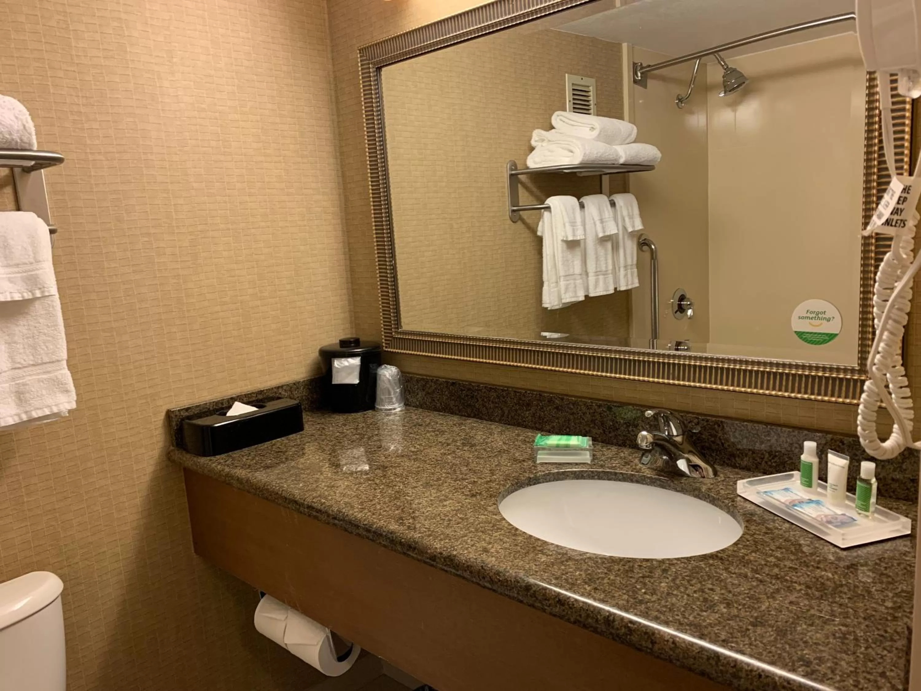 Bathroom in Holiday Inn Johnstown-Downtown by IHG