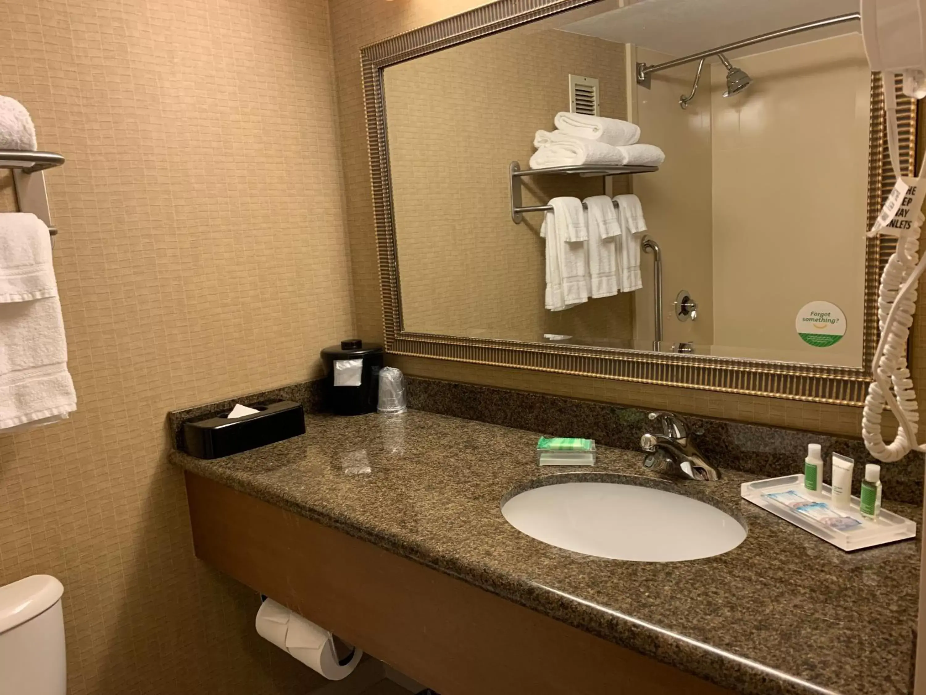 Bathroom in Holiday Inn Johnstown-Downtown, an IHG Hotel