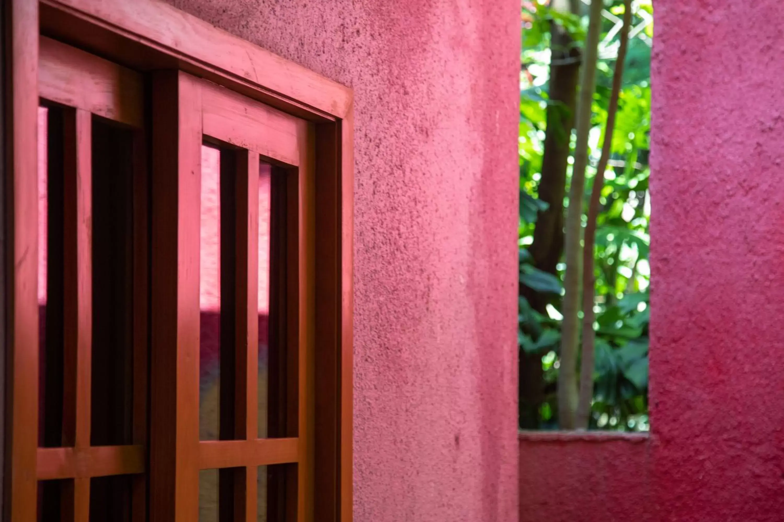 Facade/entrance in Hotel La Casa de los Árboles Immersive Experience