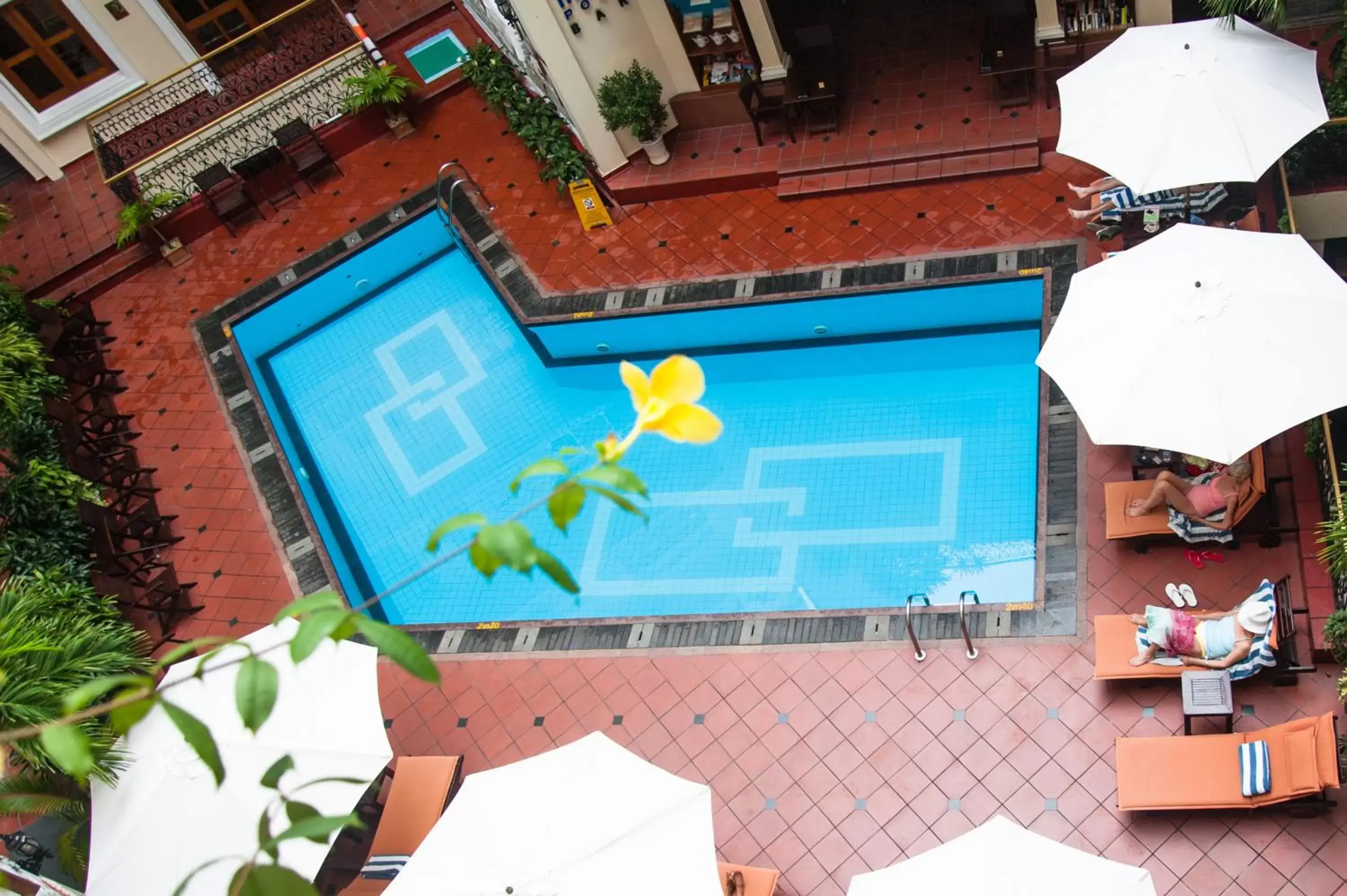 Swimming pool in Hotel Majestic Saigon Swimming pool in Hotel Majestic Saigon