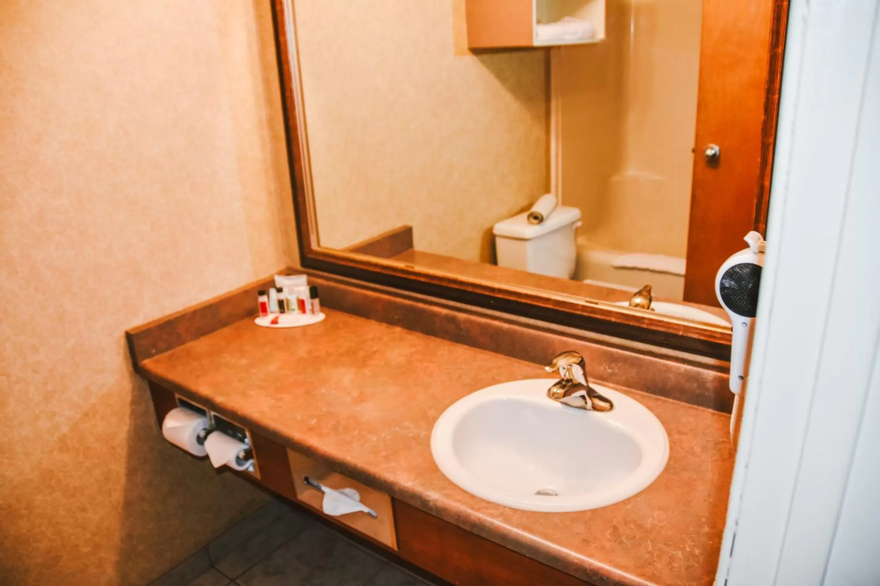 Bathroom in Stony Plain Inn & Suites