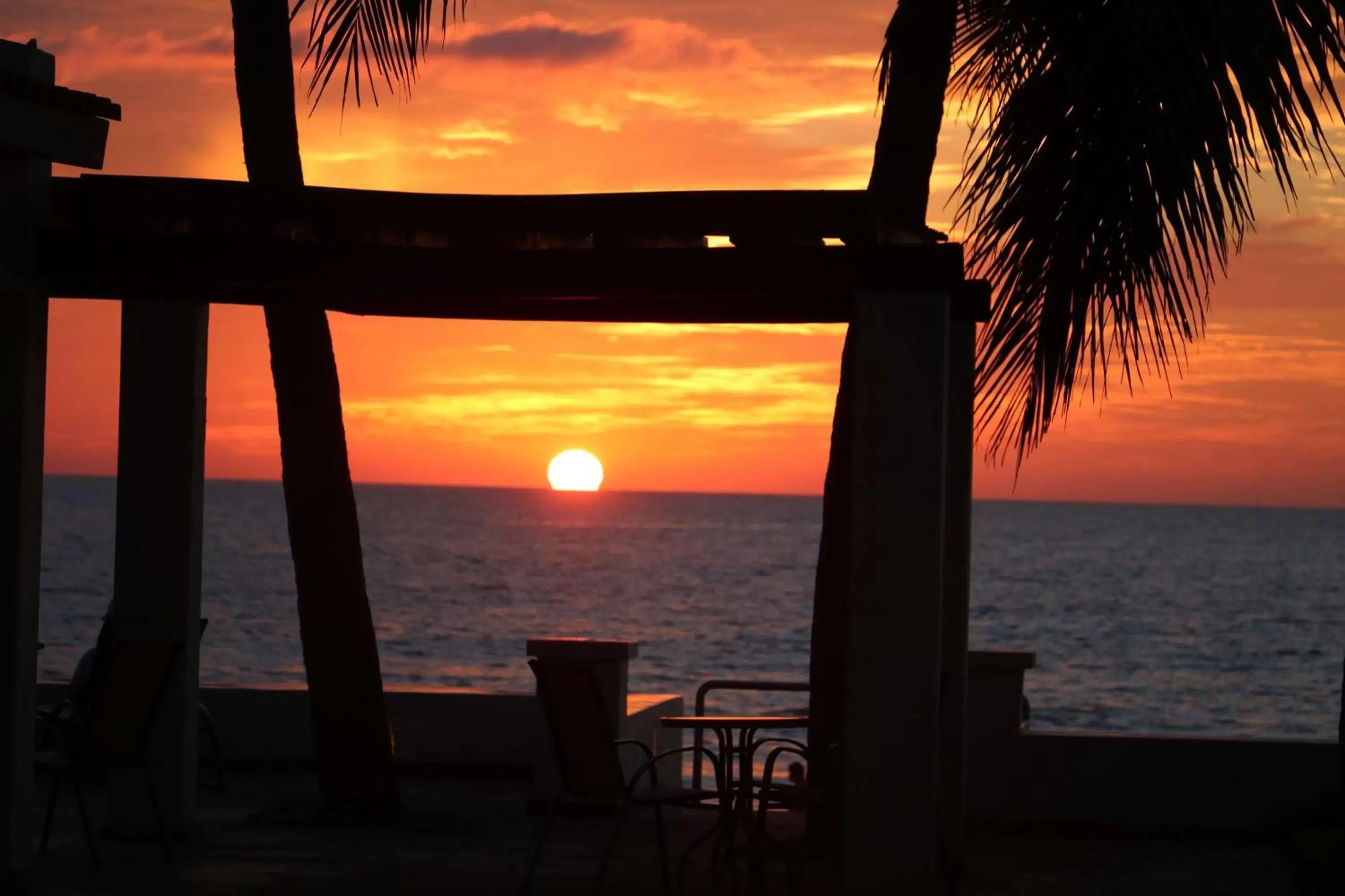 Beach, Sunrise/Sunset in Best Western Hotel Posada Freeman Zona Dorada