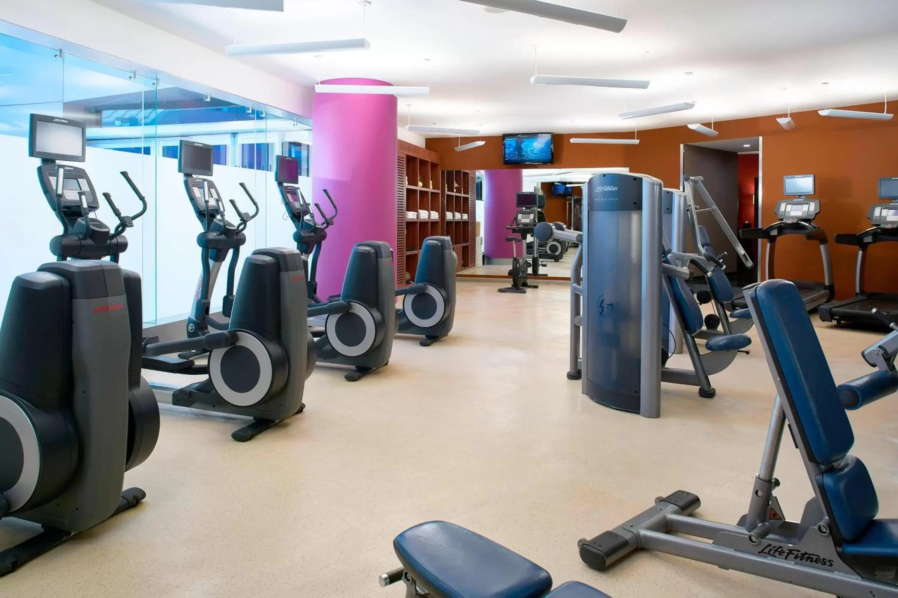 Fitness centre/facilities, Fitness Center/Facilities in Courtyard by Marriott Mexico City Airport