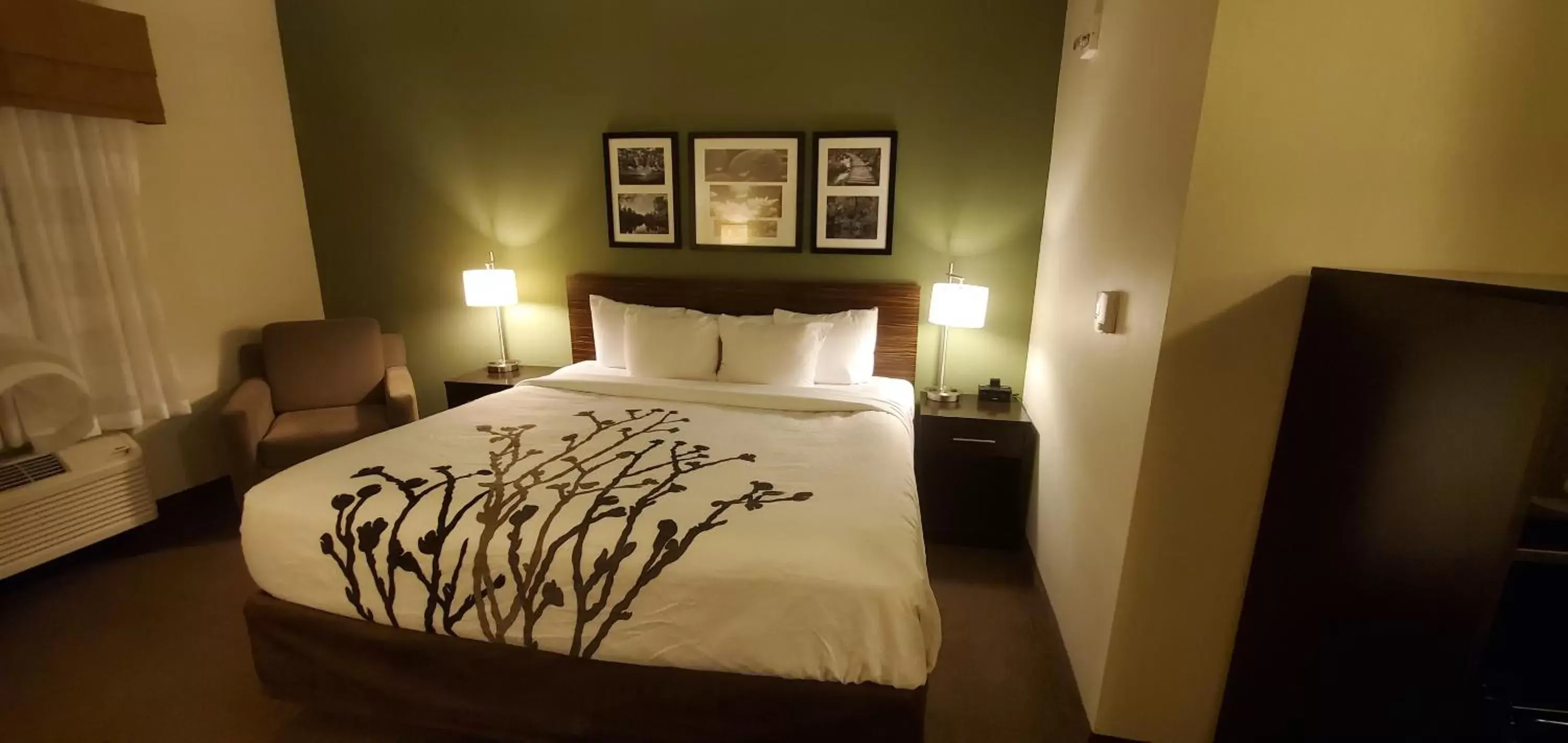 King Room - Accessible/Non-Smoking in Sleep Inn & Suites Defuniak Springs