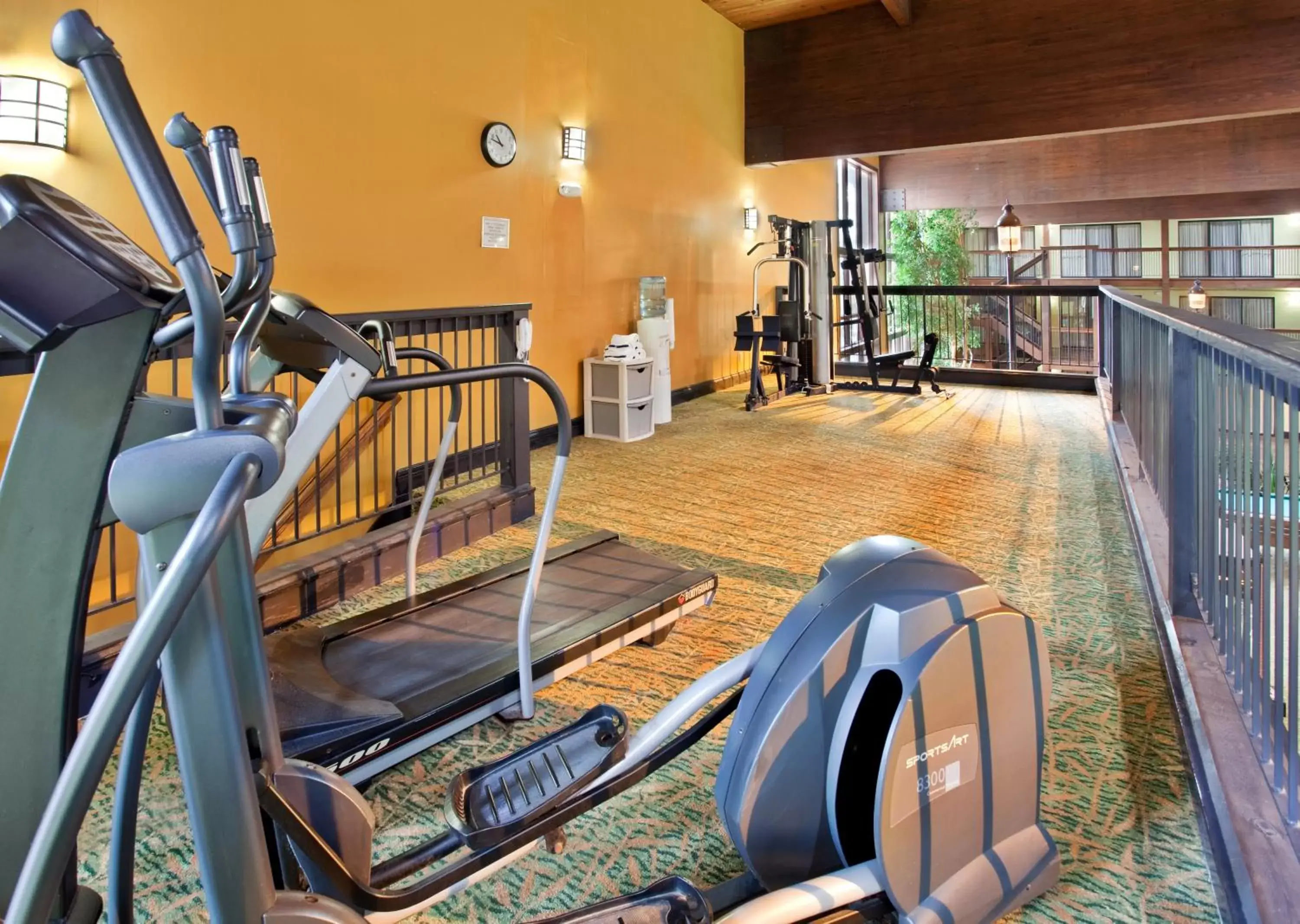 Fitness centre/facilities, Fitness Center/Facilities in Holiday Inn At Six Flags Saint Louis, an IHG Hotel