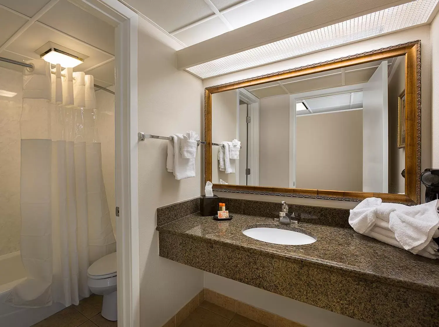 Shower, Bathroom in Coral Beach Resort