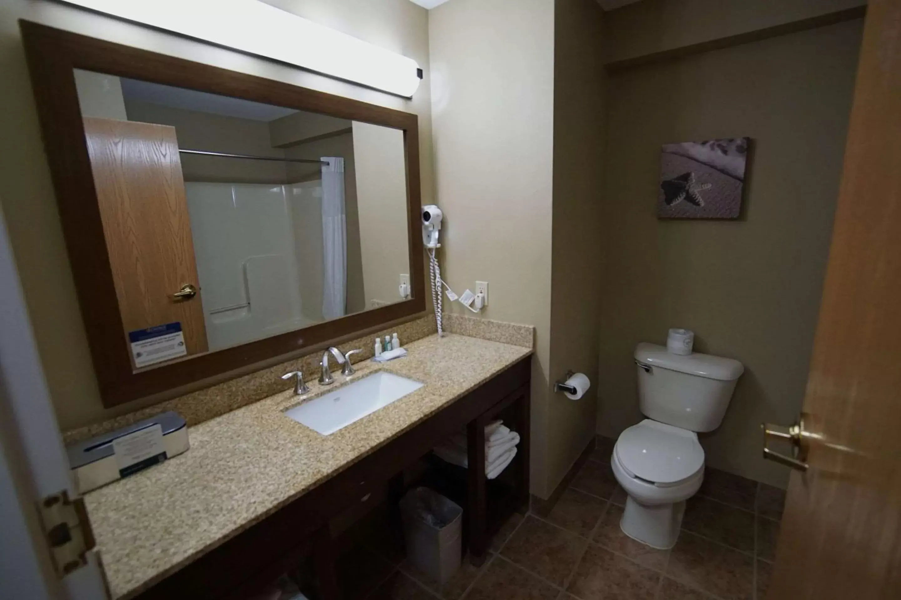 Bedroom, Bathroom in Quality Inn & Suites Georgetown - Seaford