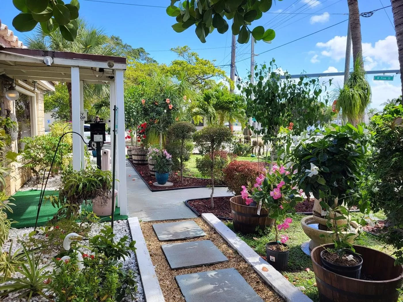 Garden in Barefoot mailman motel