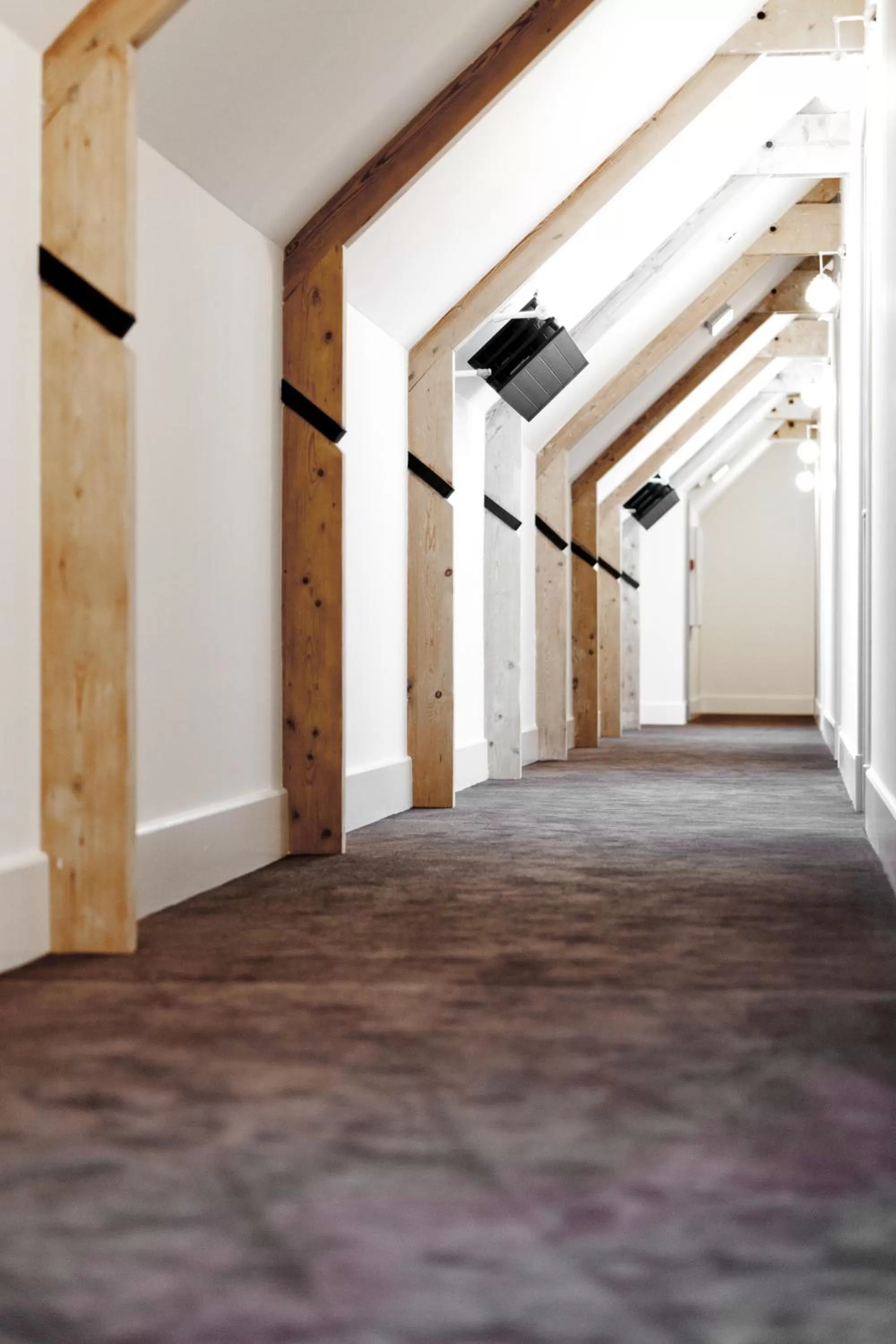 Area and facilities in College Hotel Alkmaar