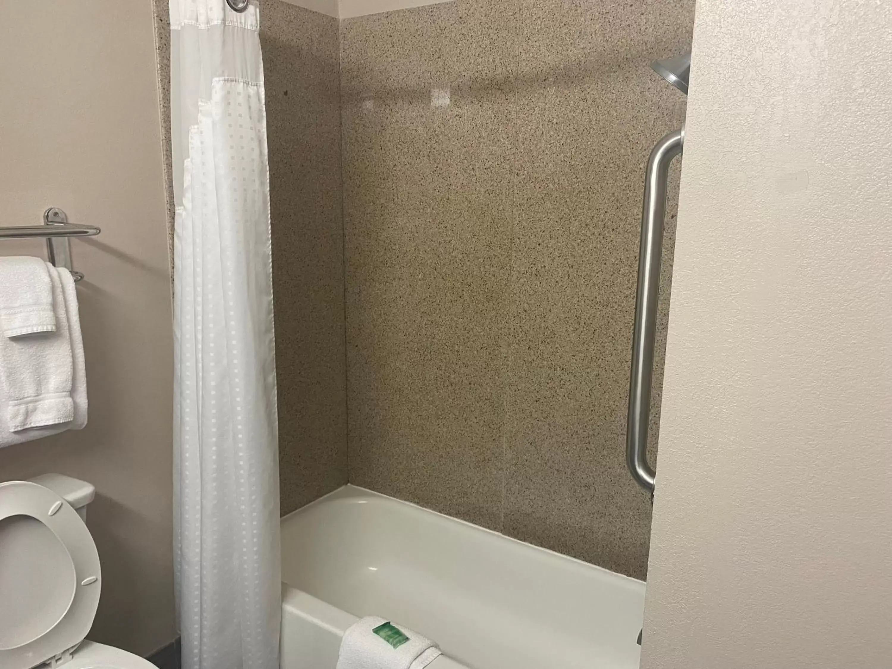 Bathroom in Holiday Inn Express Hotel and Suites Fort Stockton, an IHG Hotel