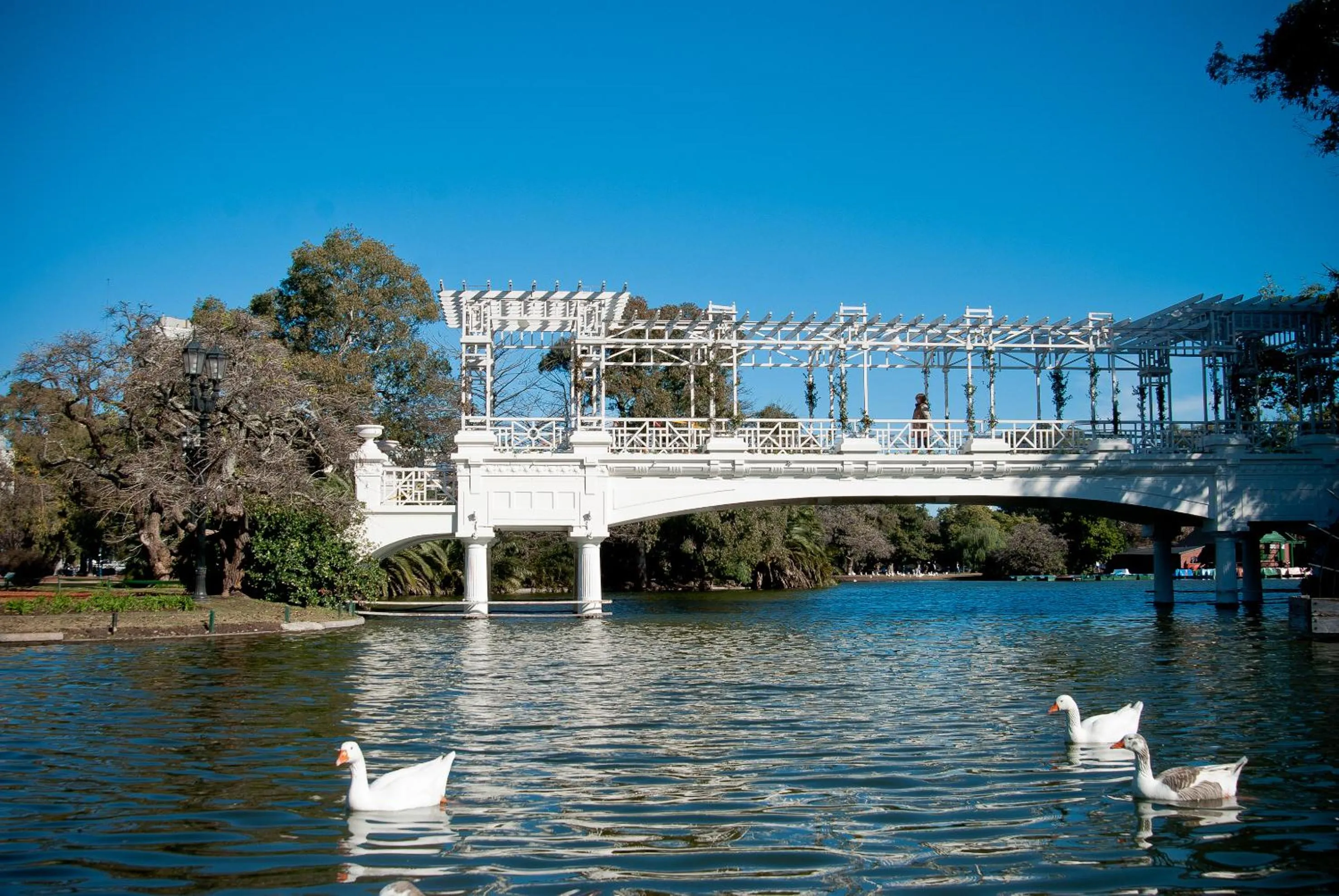Area and facilities in Palermo Suites Buenos Aires Hotel & Apartments