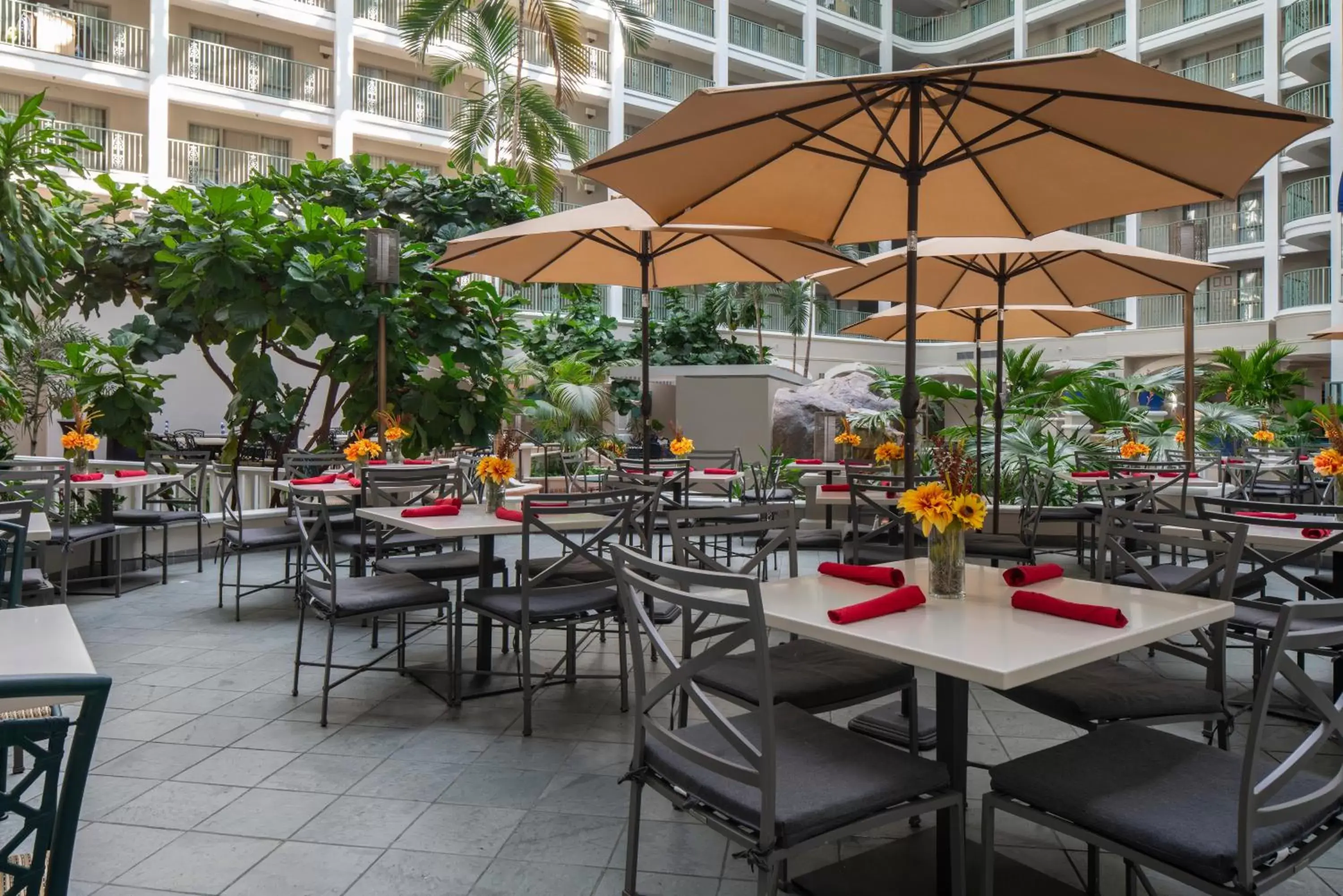 Lounge or bar, Restaurant/Places to Eat in Sheraton Suites Fort Lauderdale at Cypress Creek