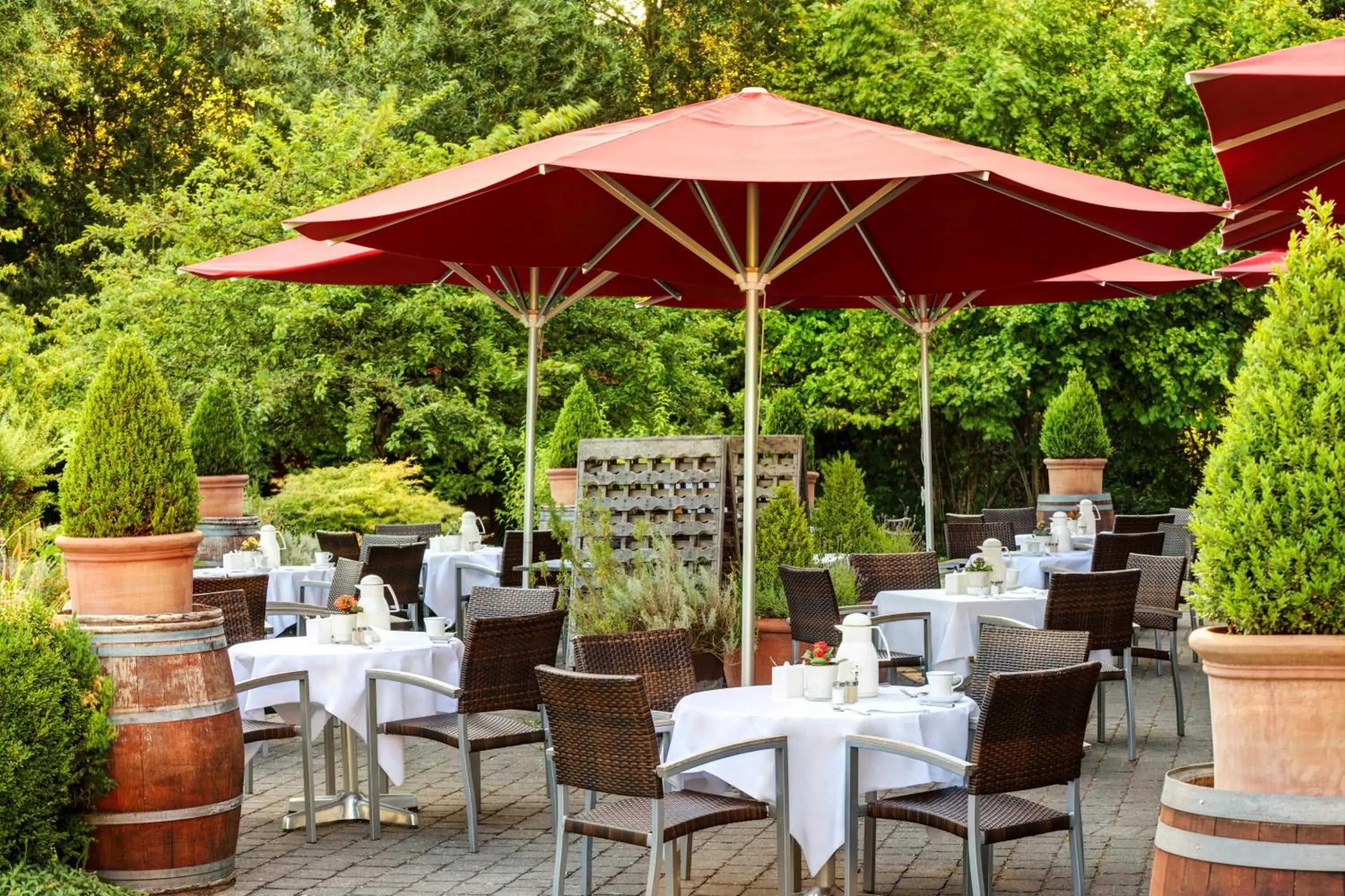 Restaurant/Places to Eat in MAXX by Steigenberger Deidesheim